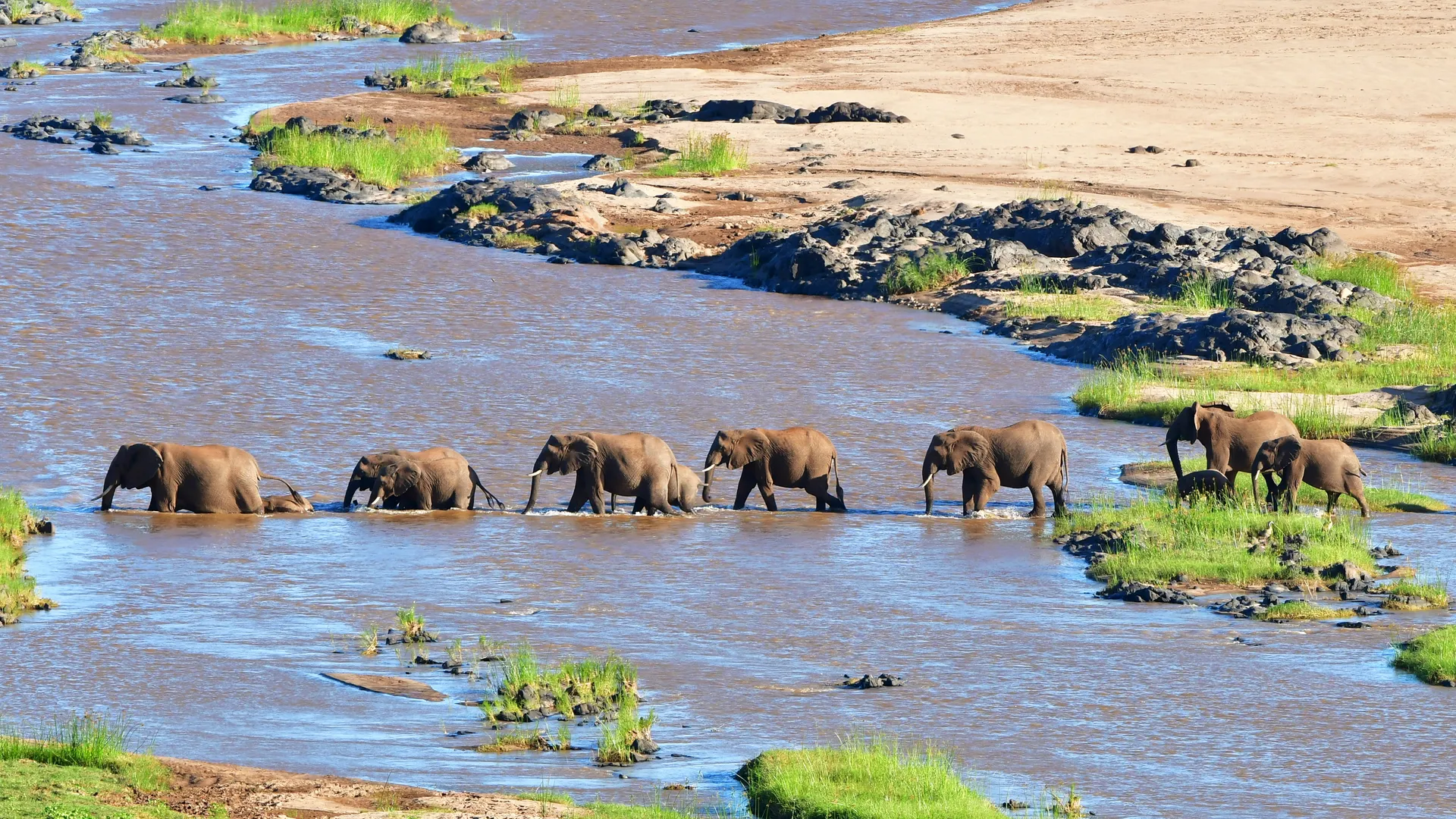 Kruger National Park