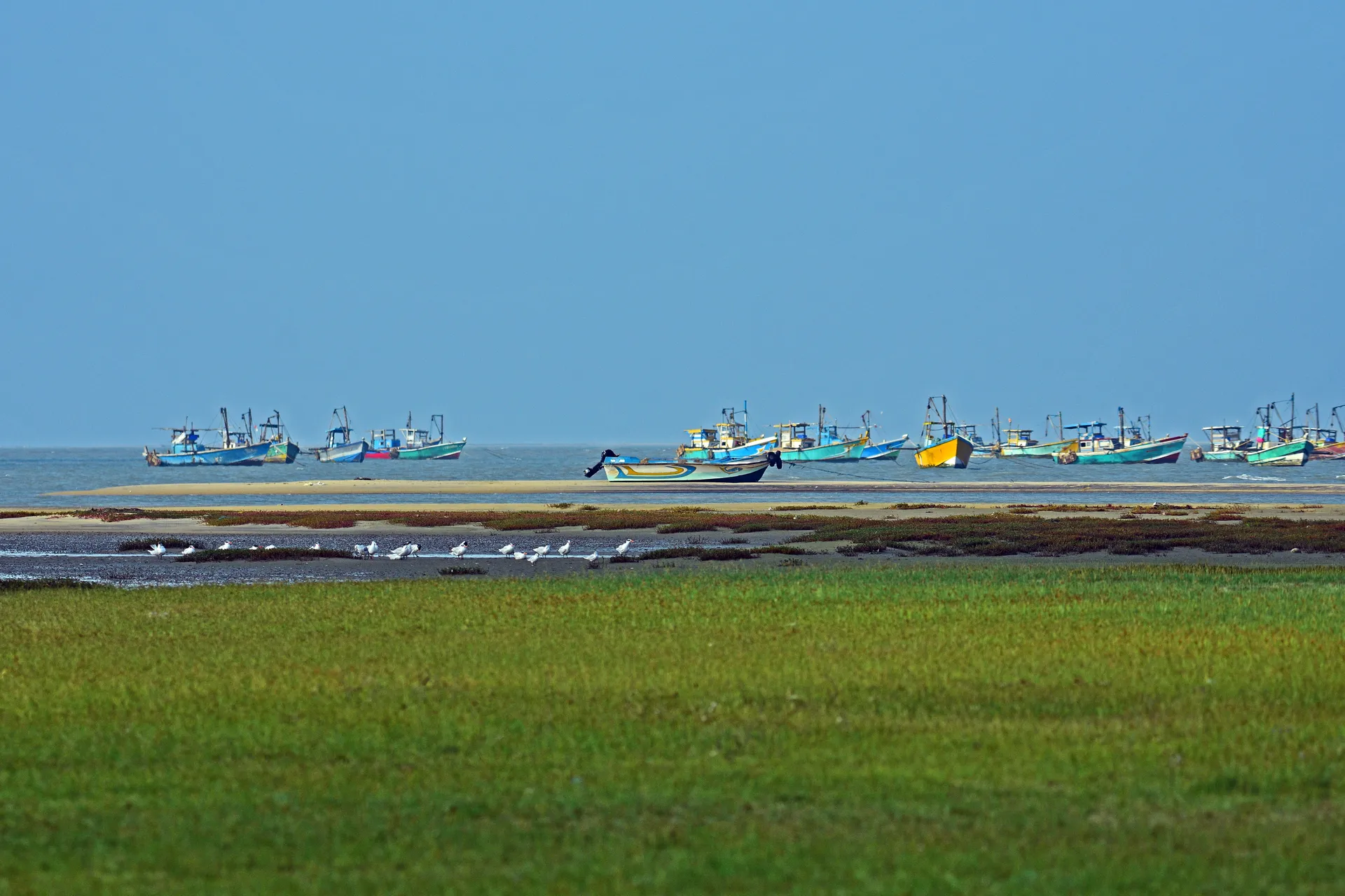 Mannar