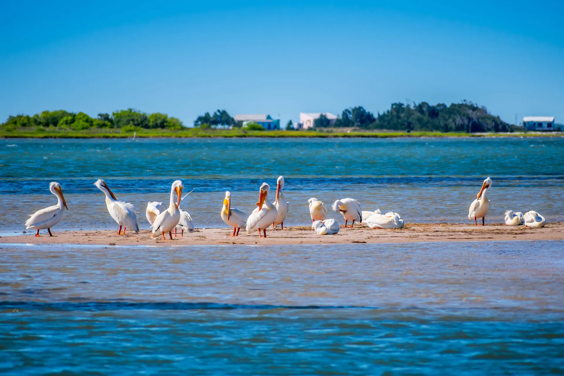 Padre Island (Padre Island National Seashore)
