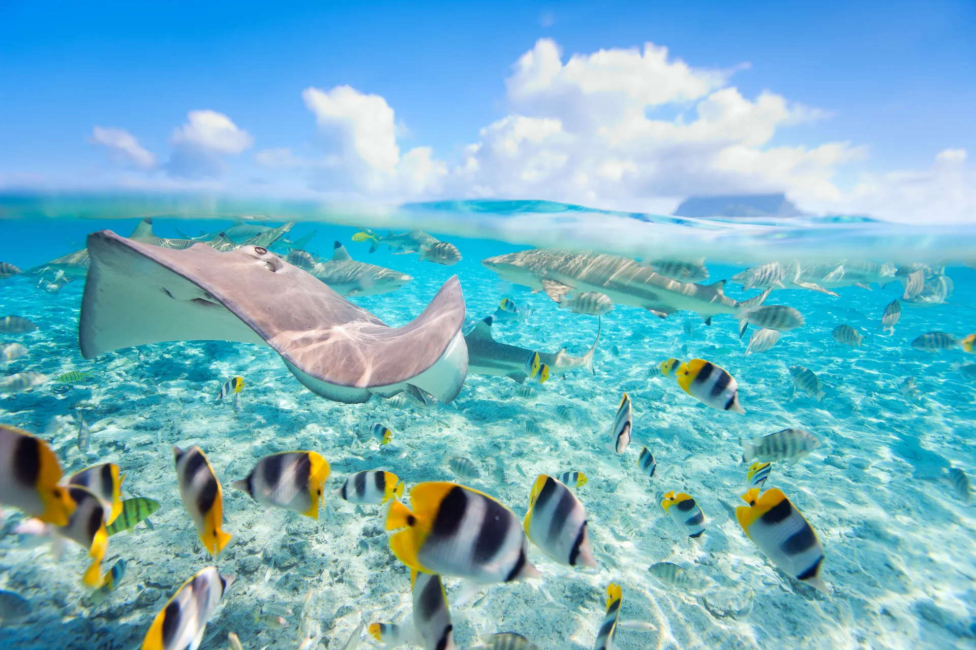 Top destinations