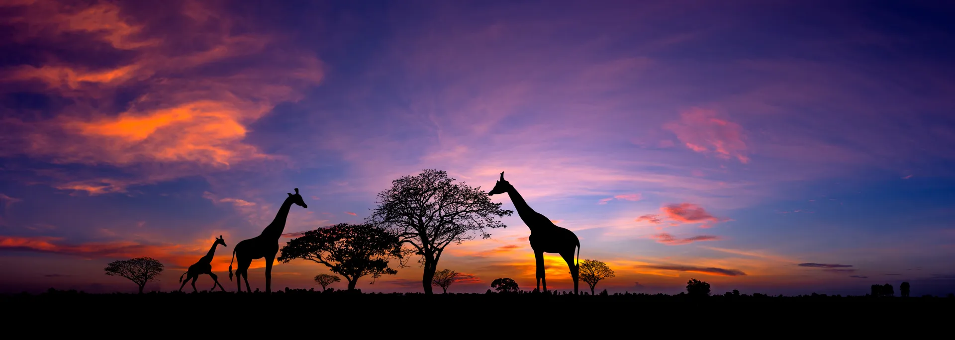 East & Central Africa