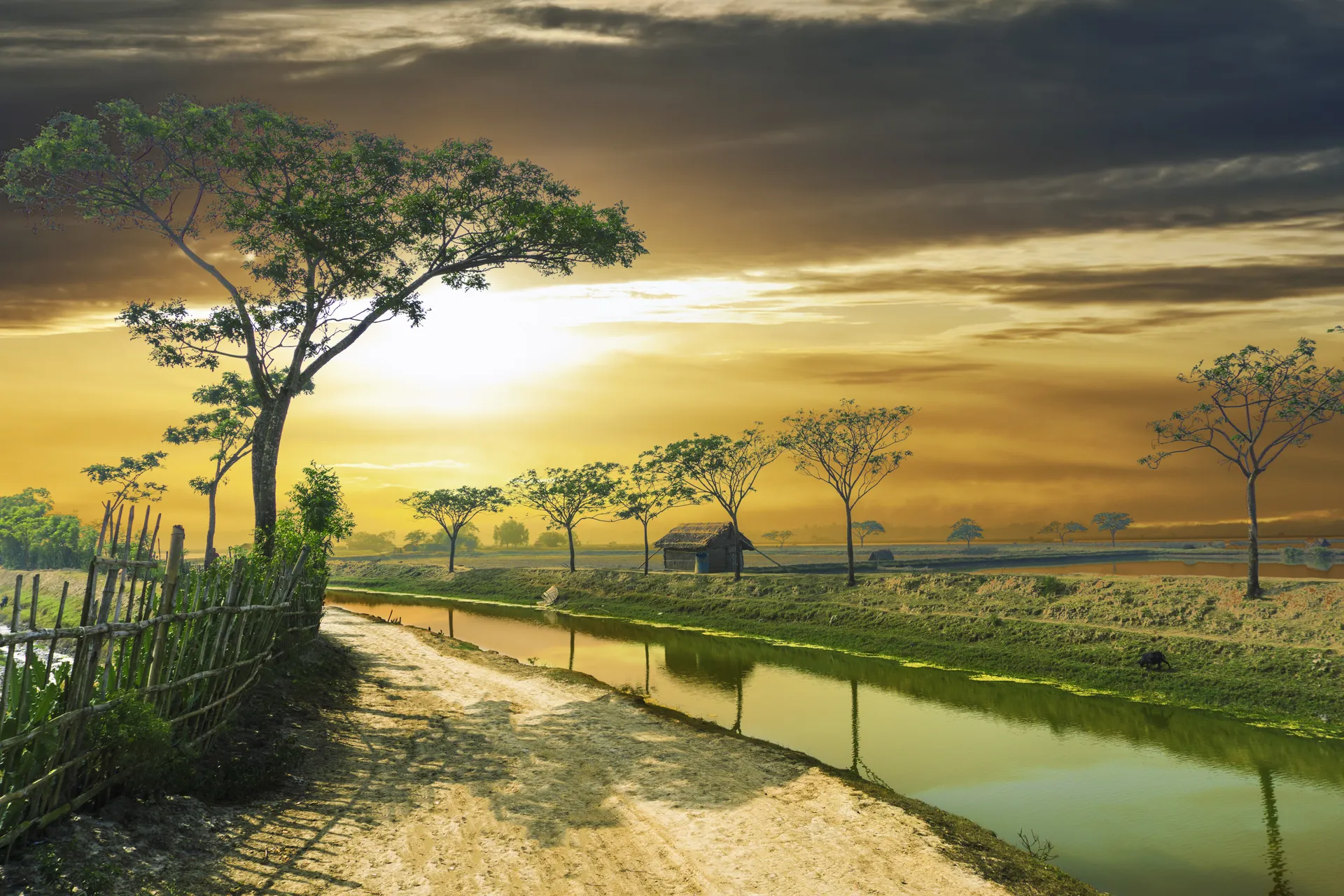 Bangladesh