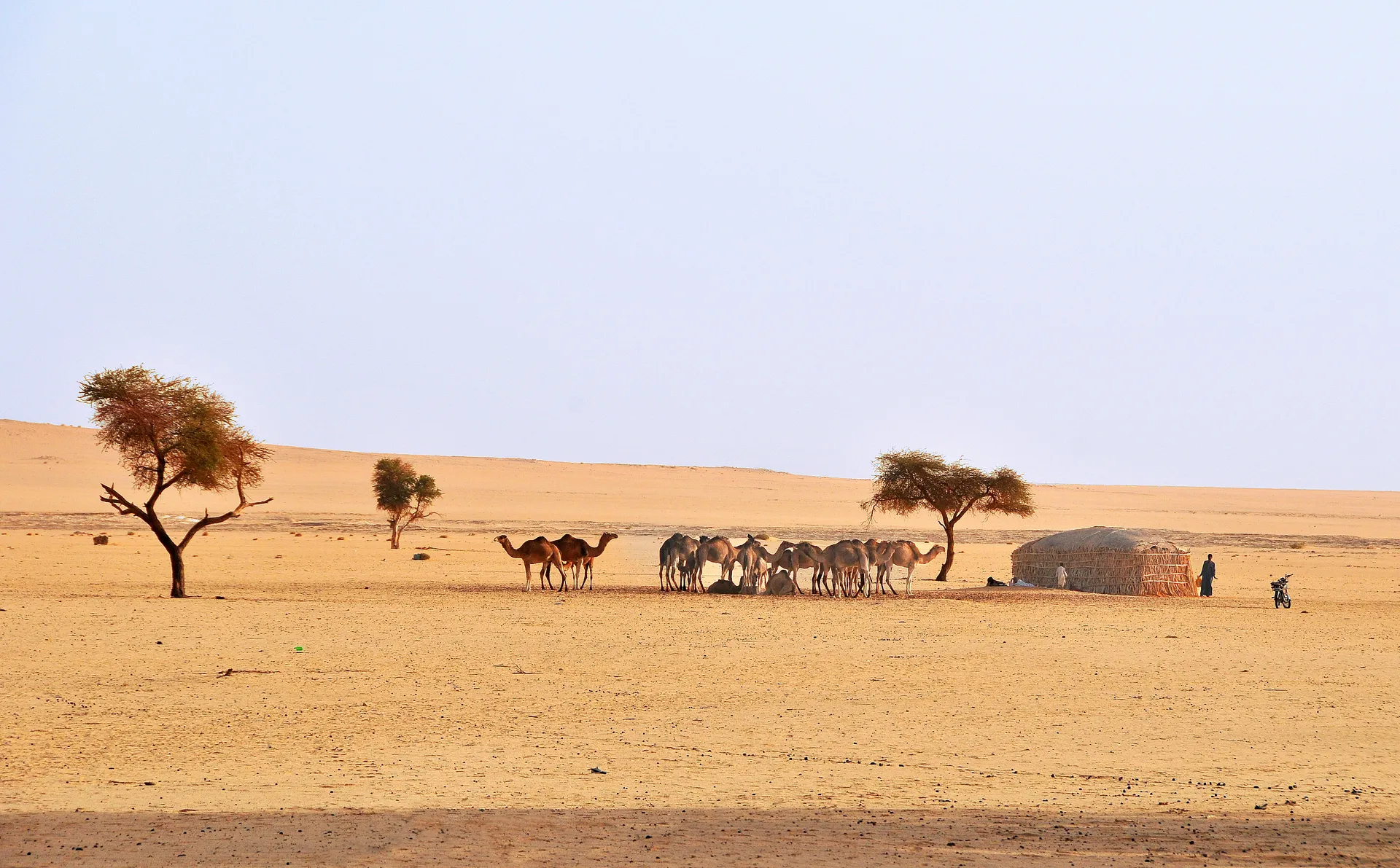 Tchad