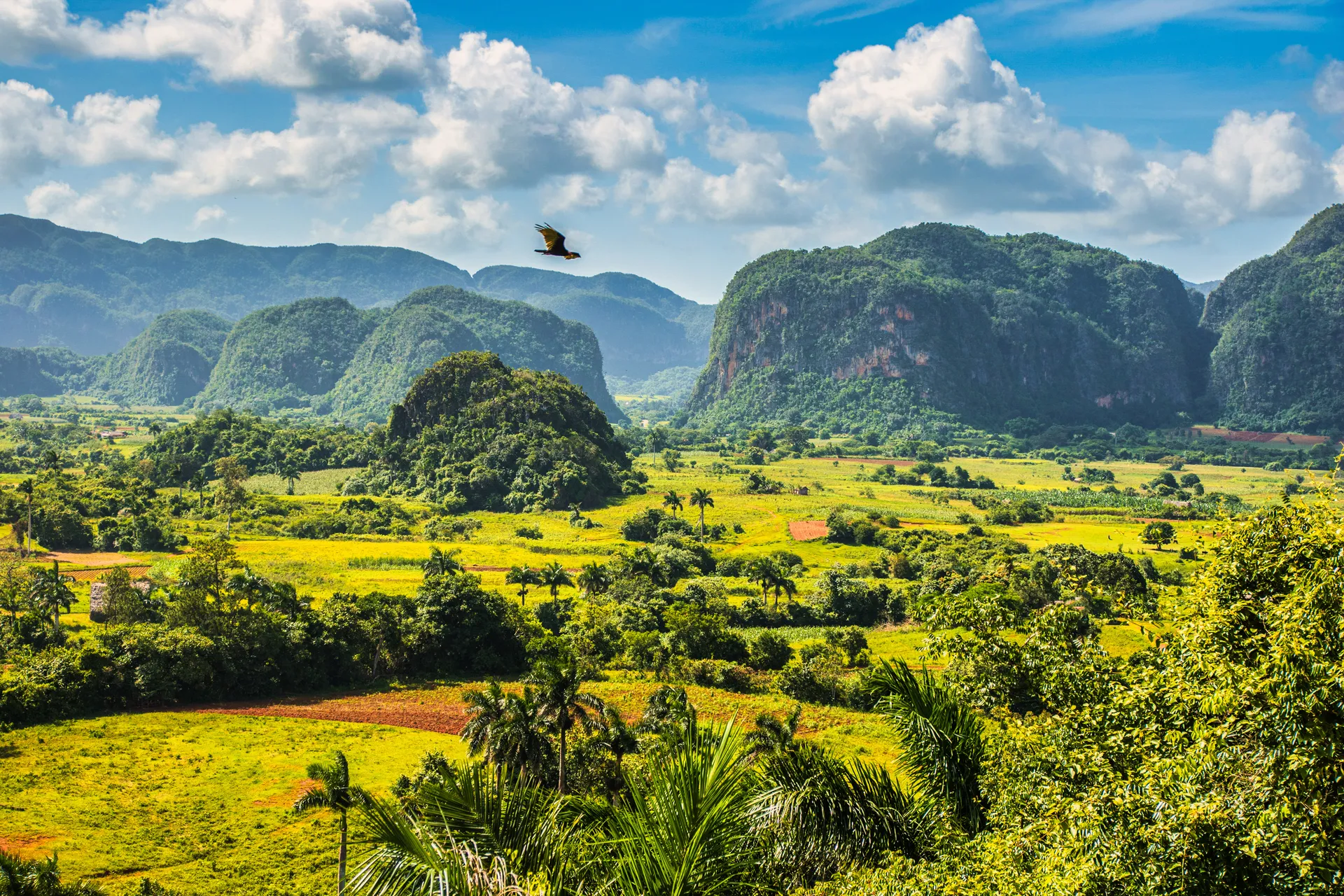 Cuba