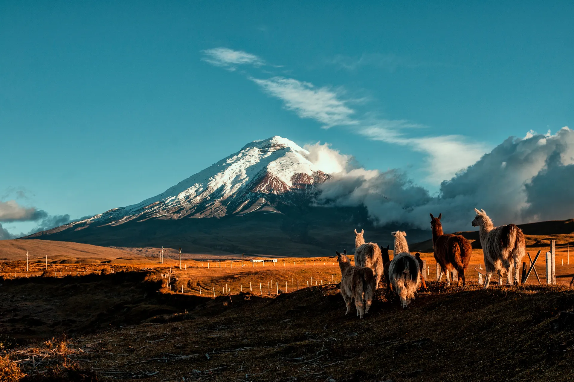 Ecuador