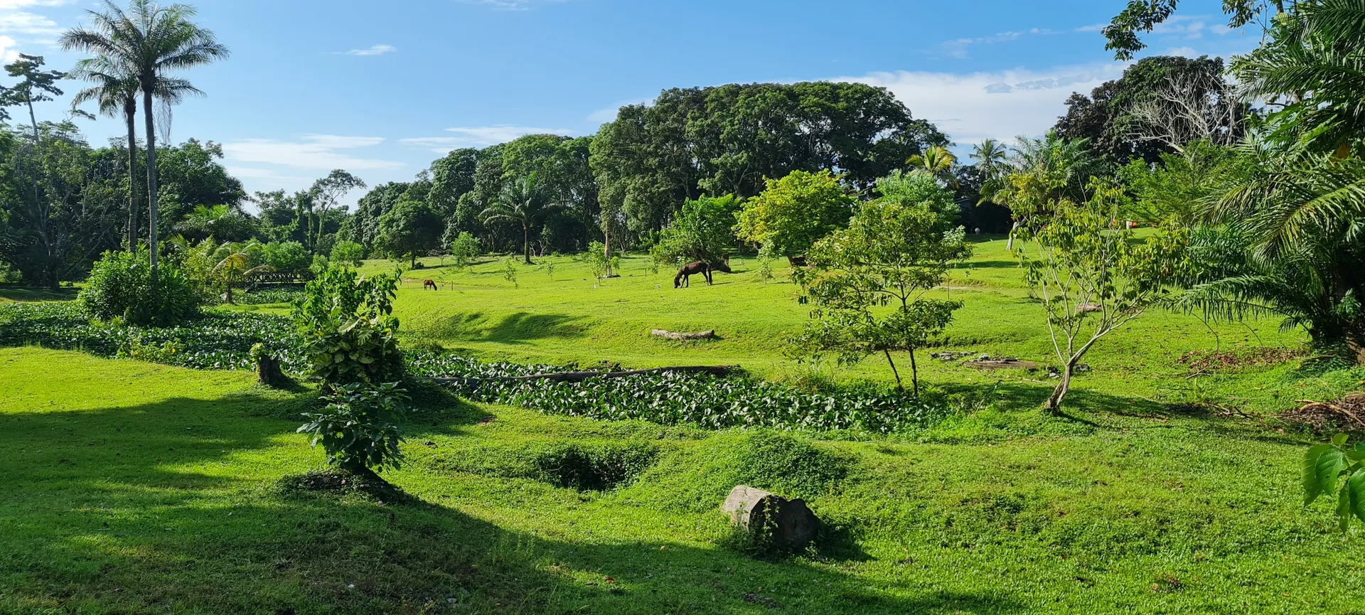 Gabon