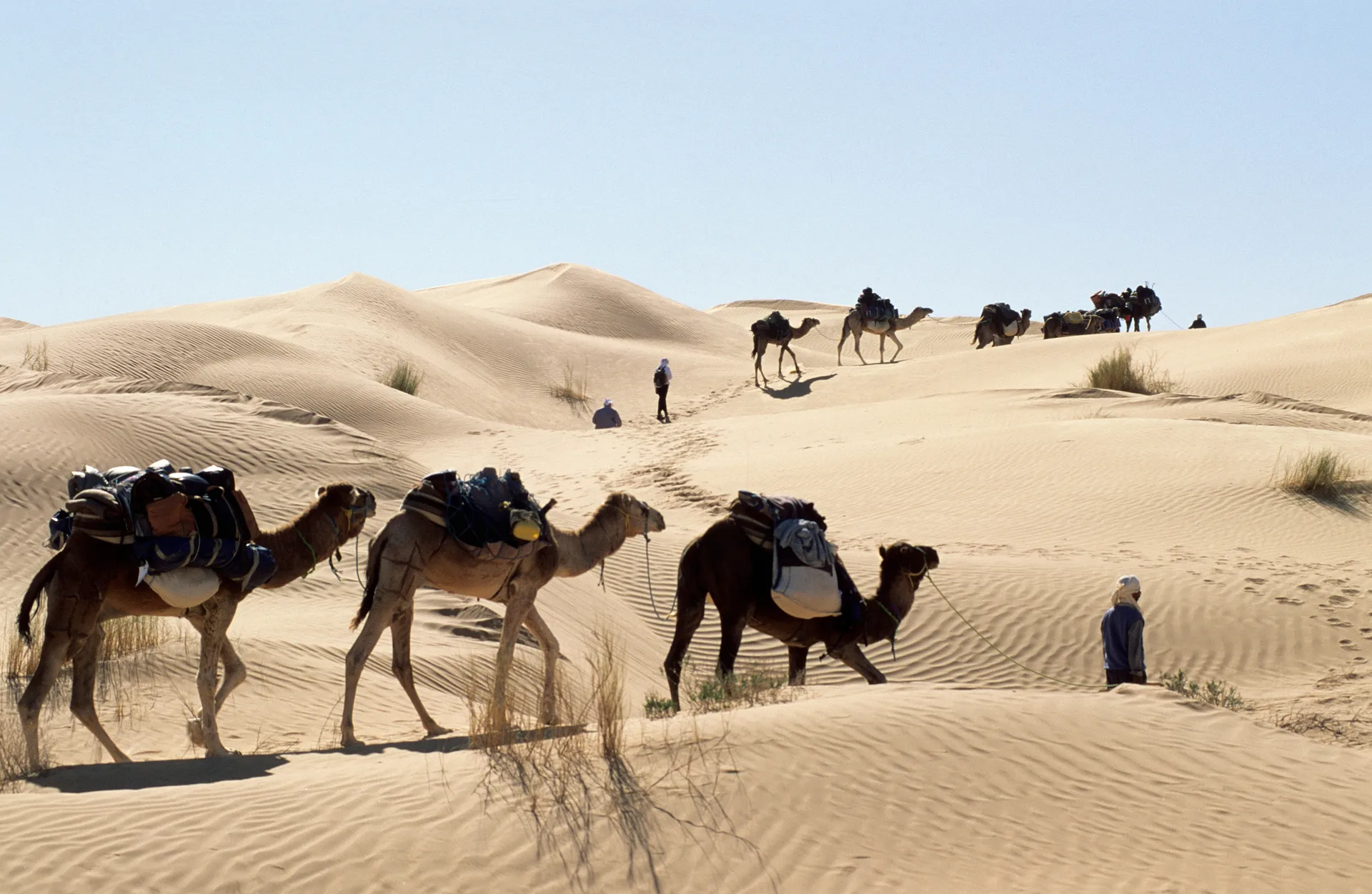 Niger