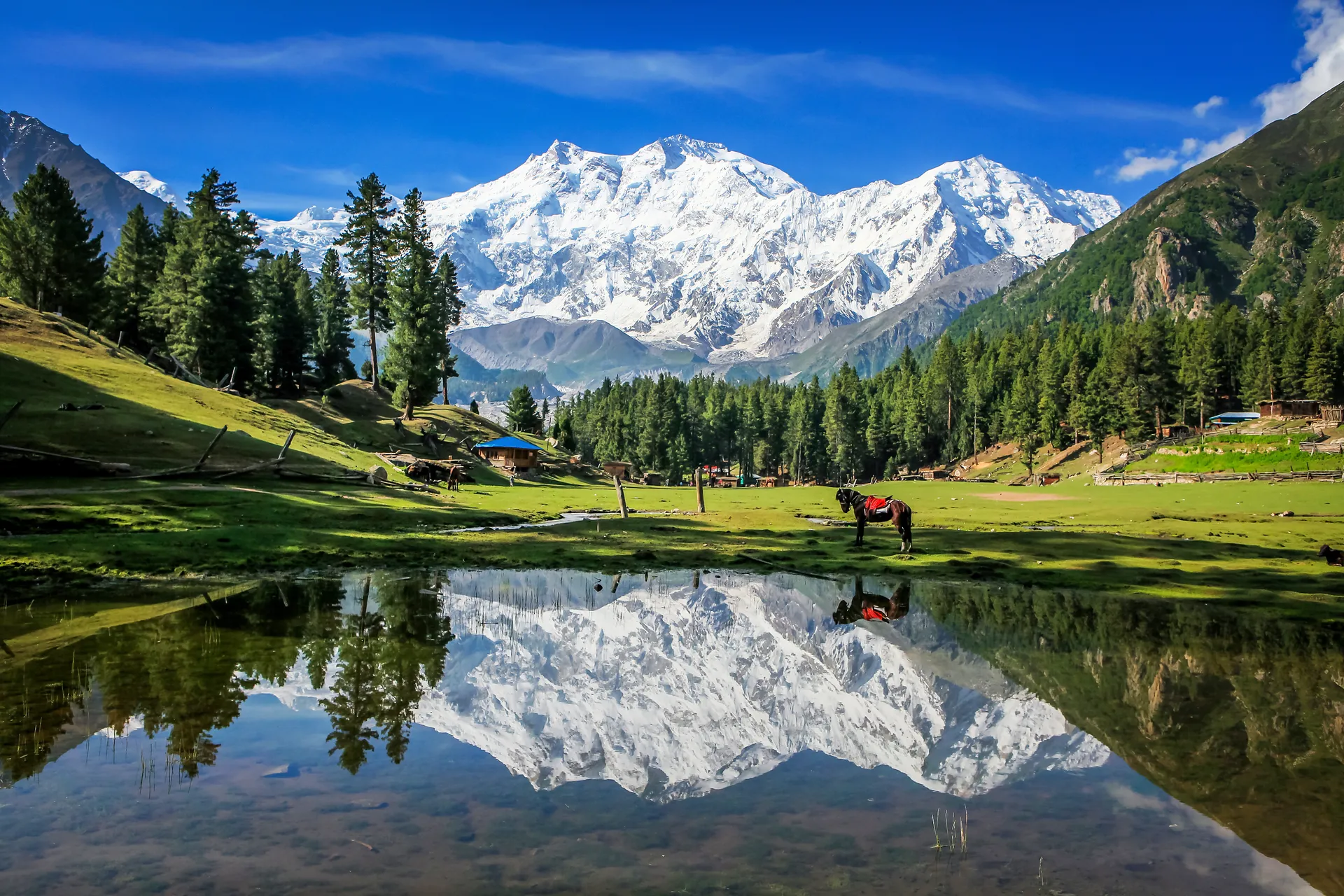 Pakistan