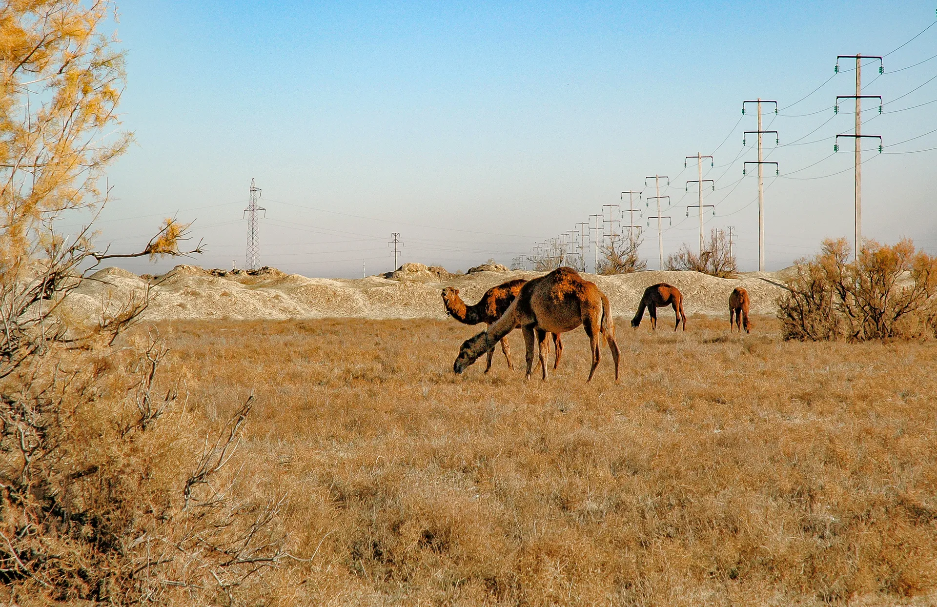Turkmenistan