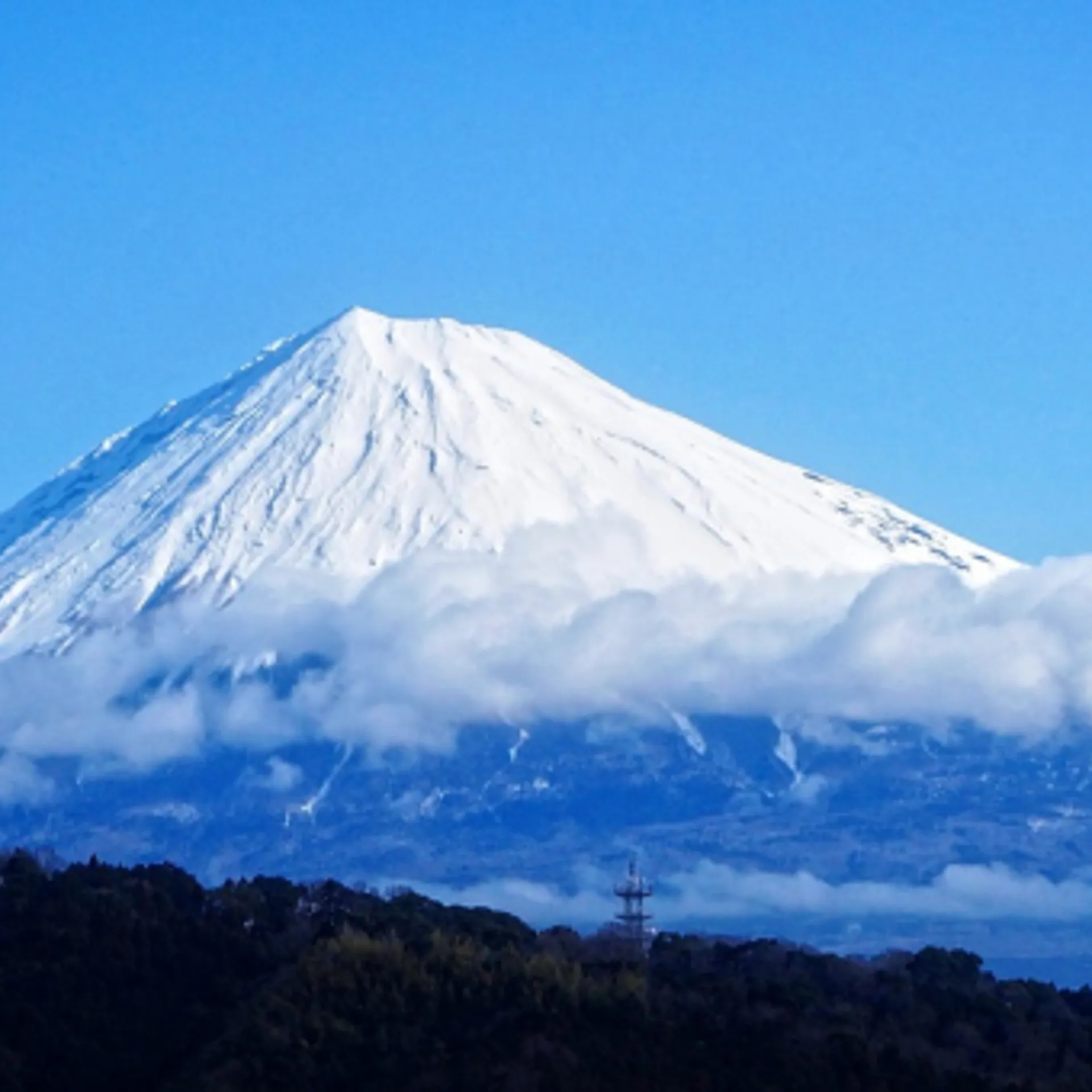 Hiver entre Corée et Japon