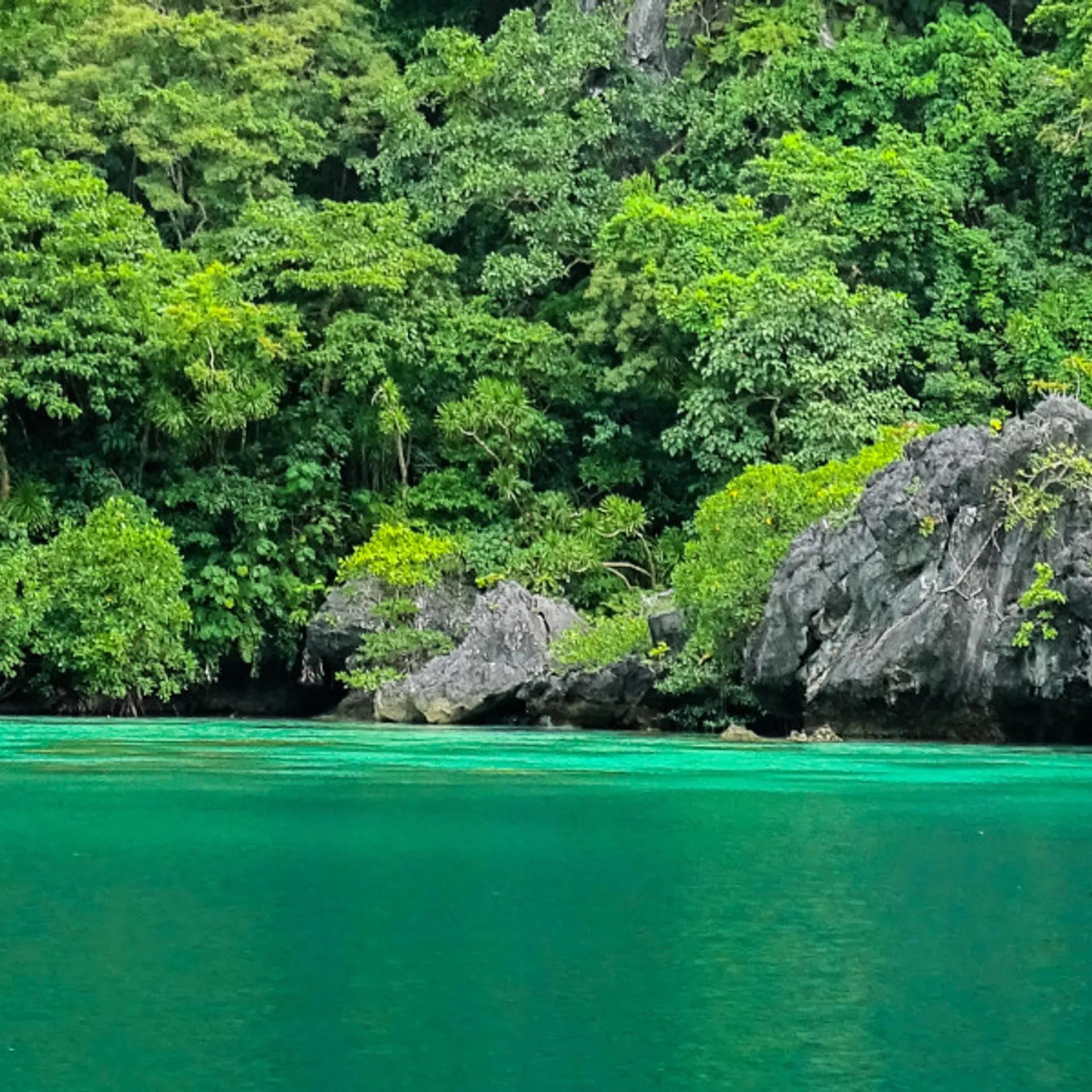 Philippines : 10 jours au paradis de l'île Palawan