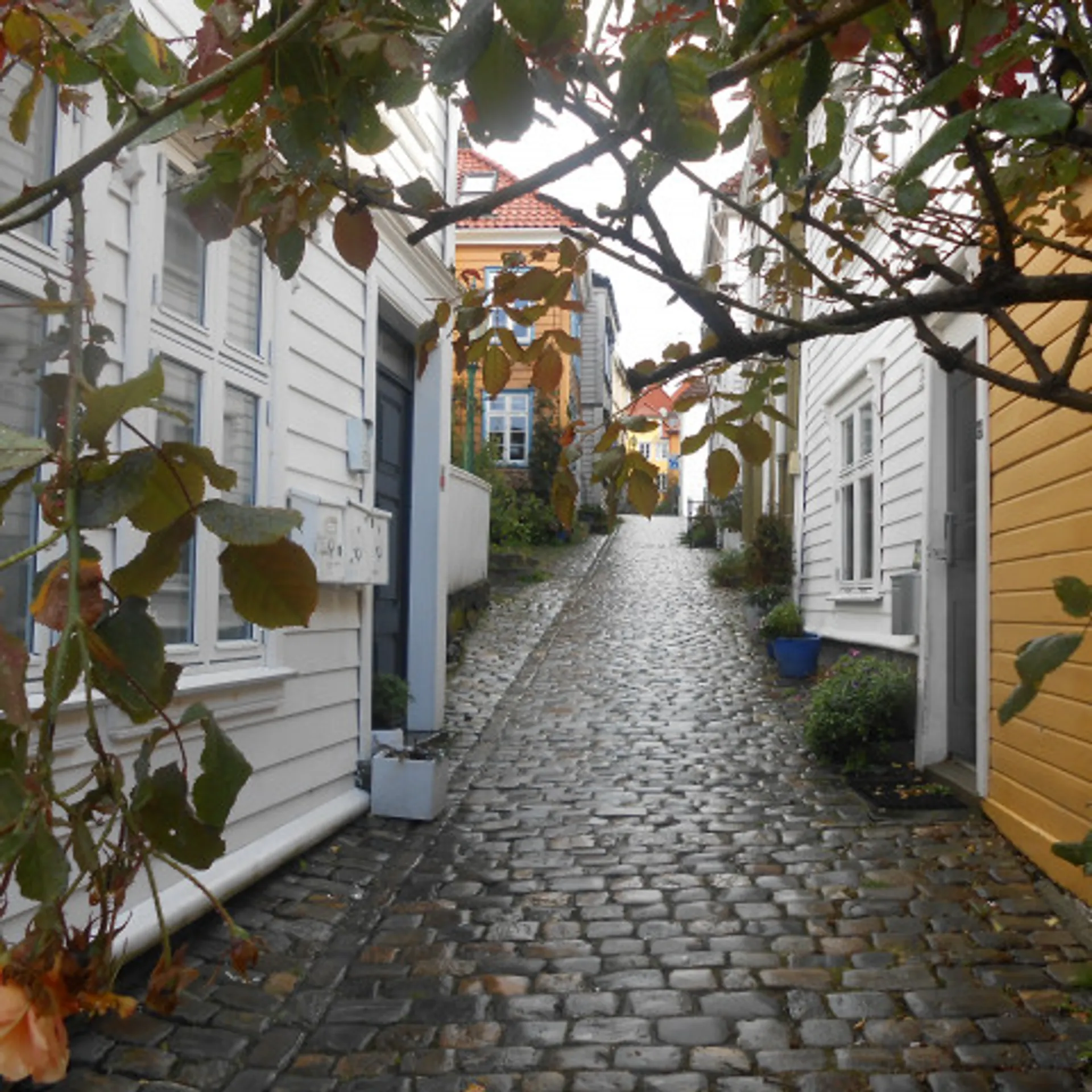 A trip in Bergen