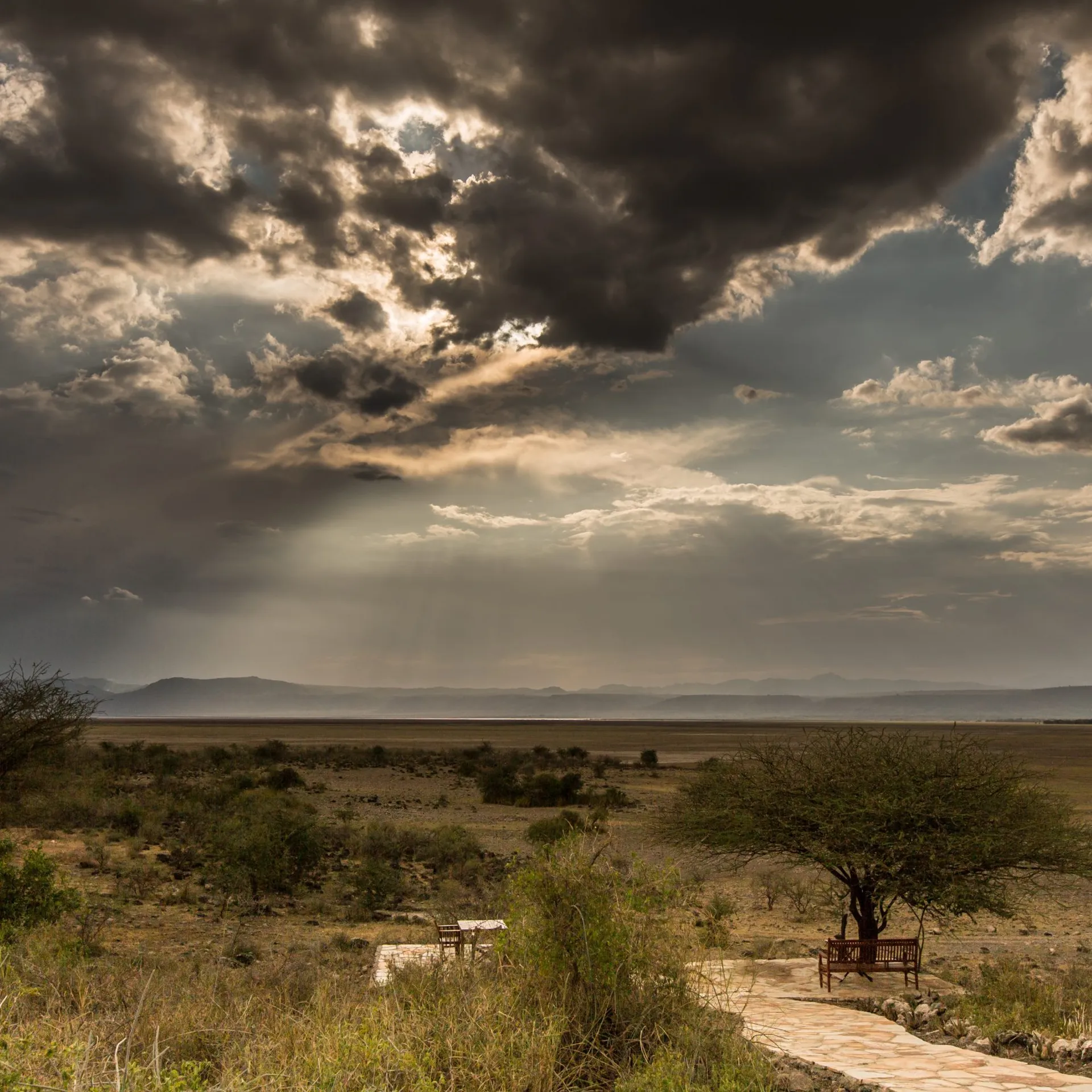 Safari découverte 3 parcs en 4 jours