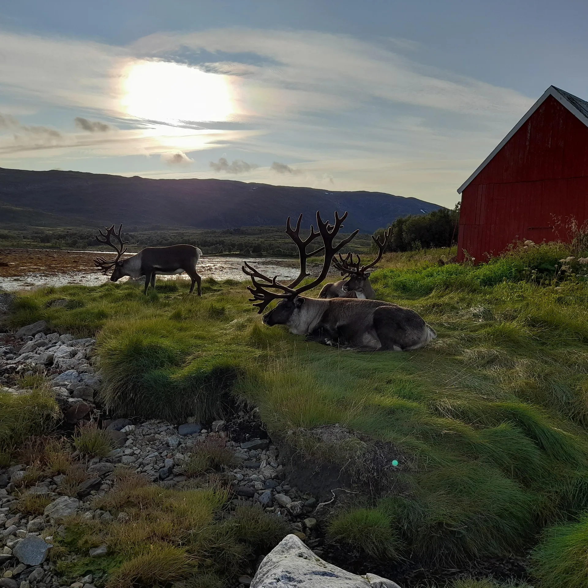 Arctic adventures in Tromsø