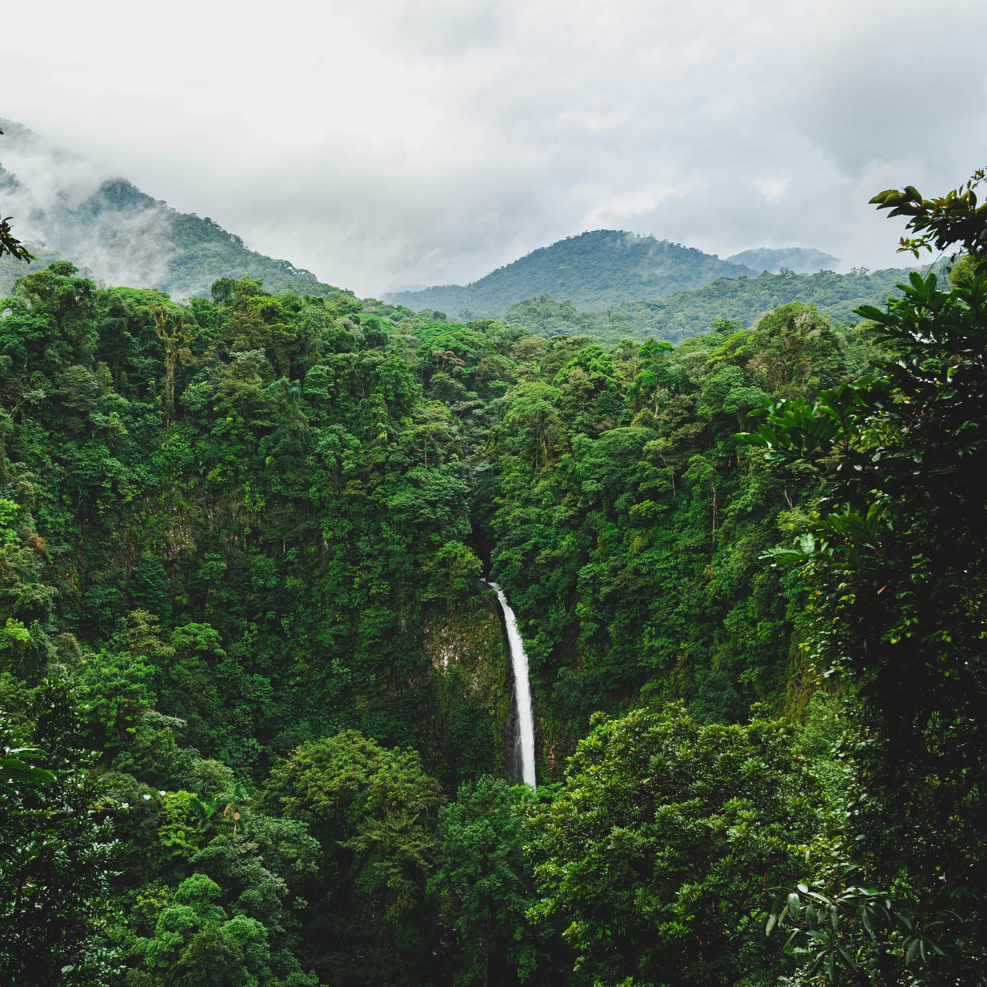 Costa Rica: pura vida des Caraïbes au Pacifique !