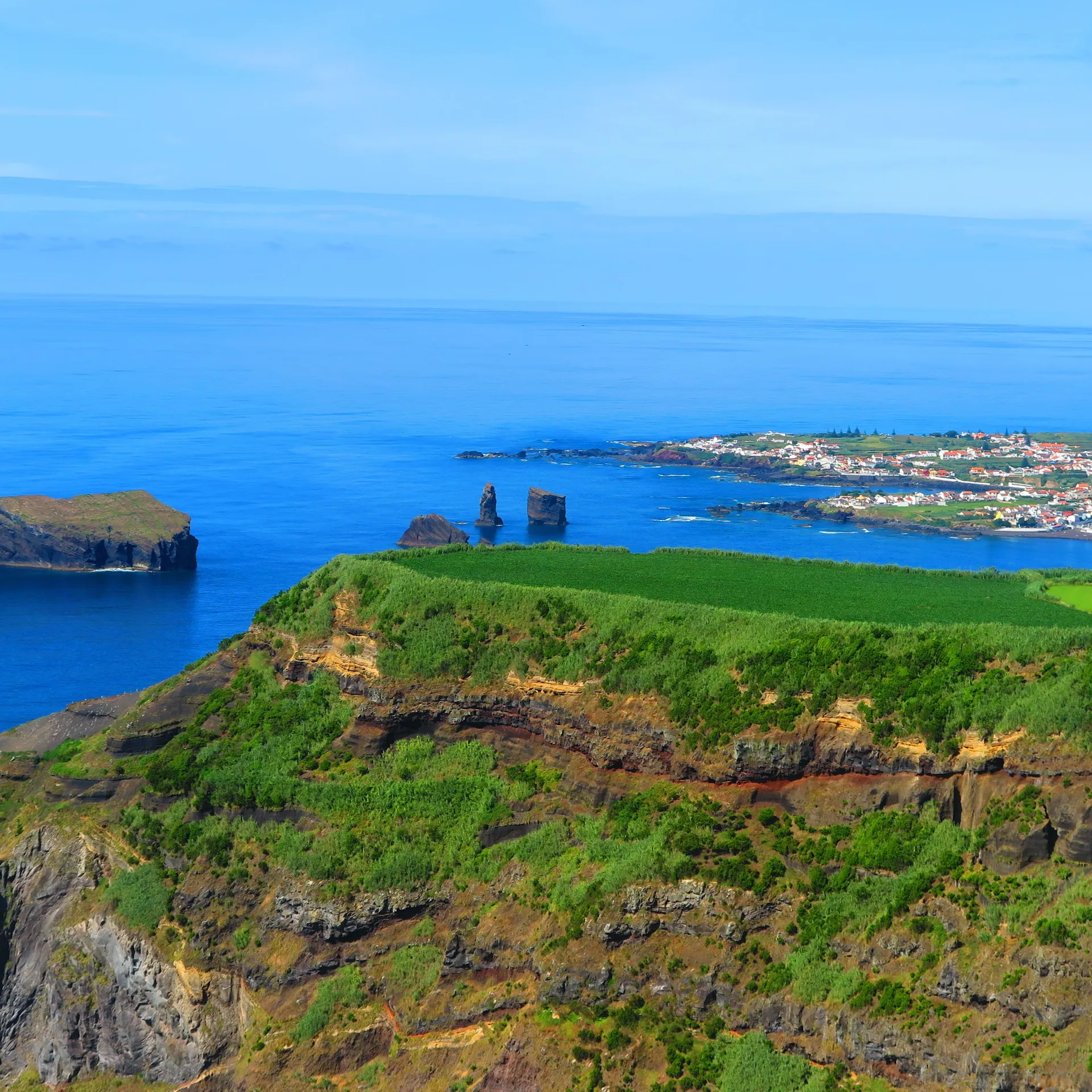 Volcans, baleines et ananas, un circuit à savourer