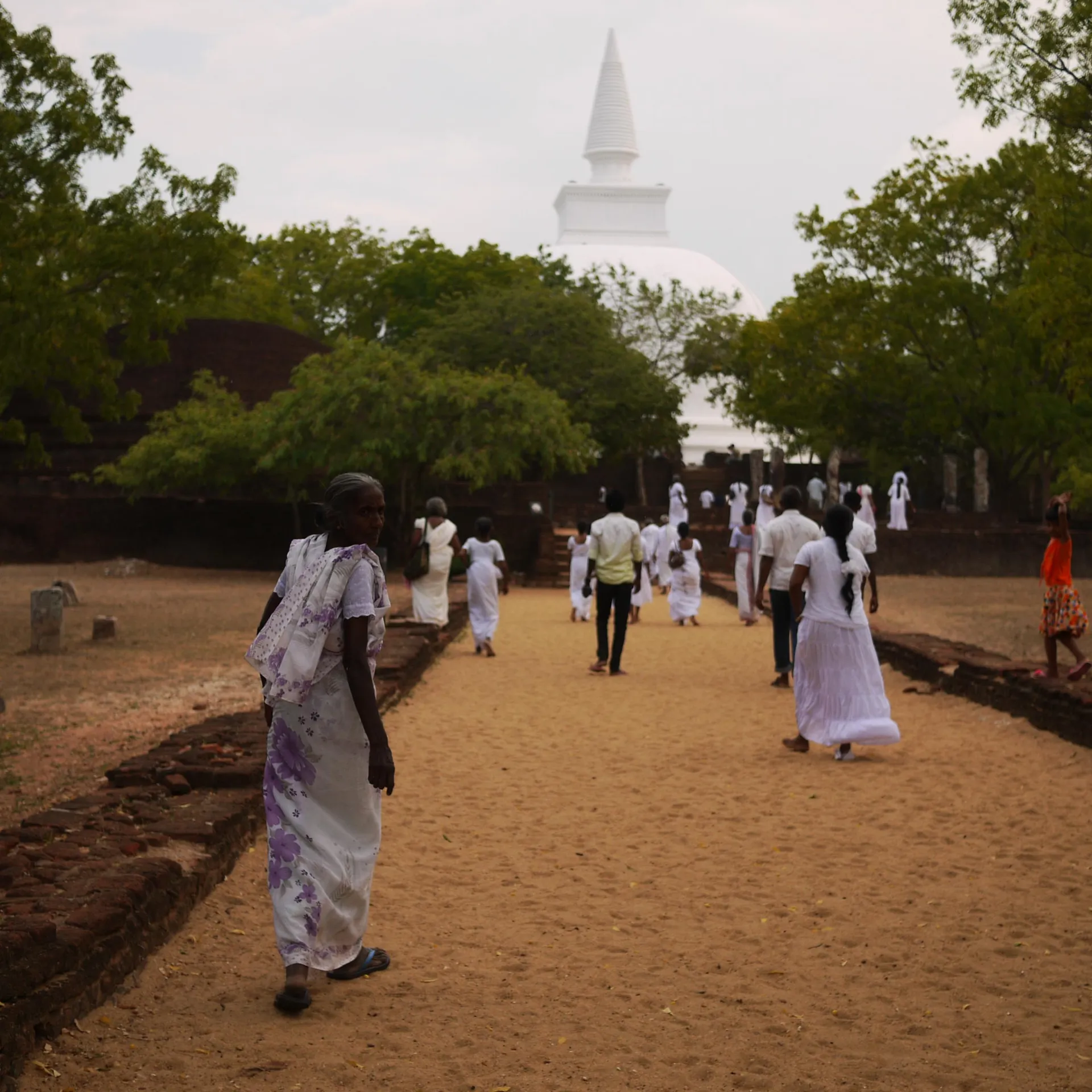18 jours au Sri Lanka, un voyage dans le temps...
