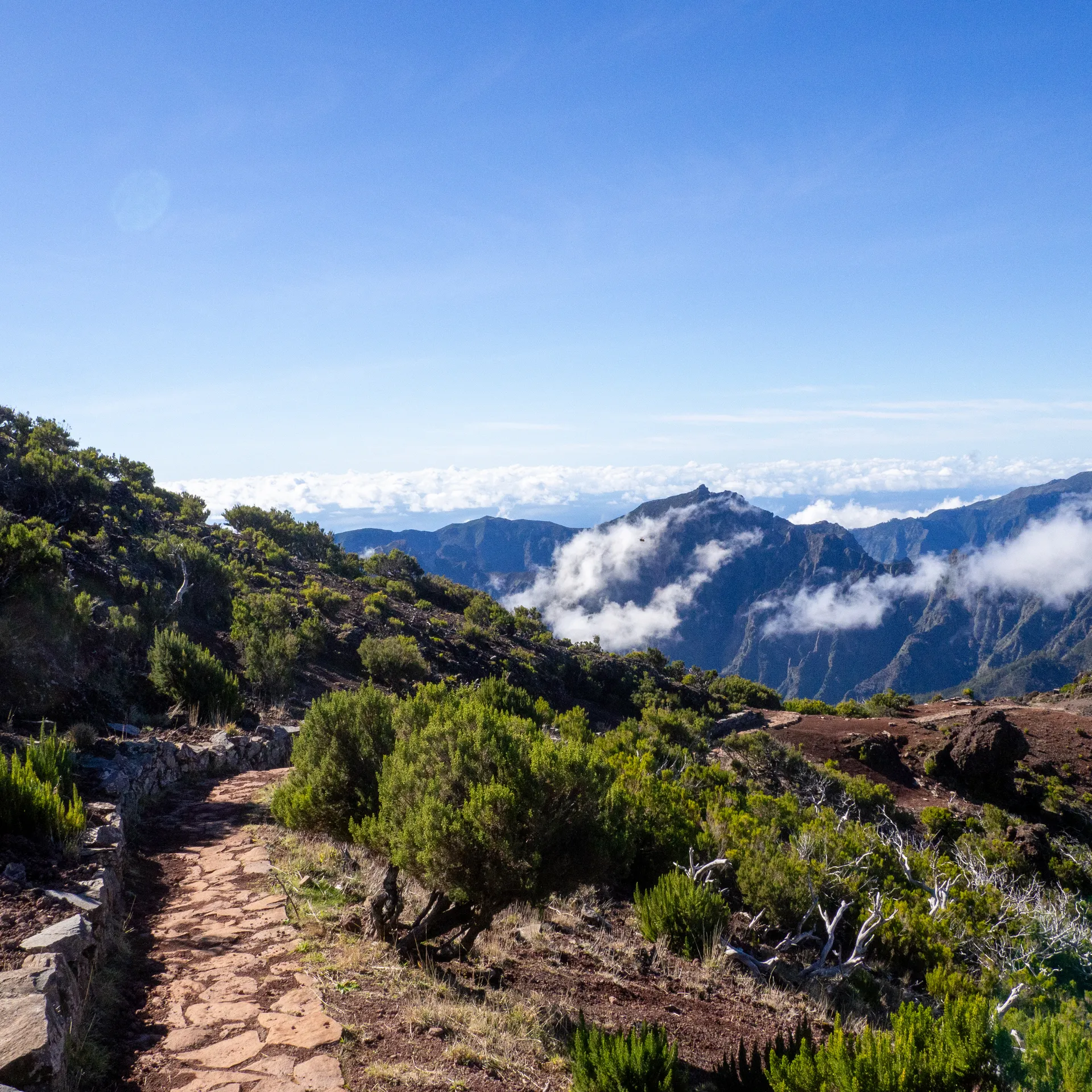 Séjour Nature et Outdoor à Madère 🌿🏞️