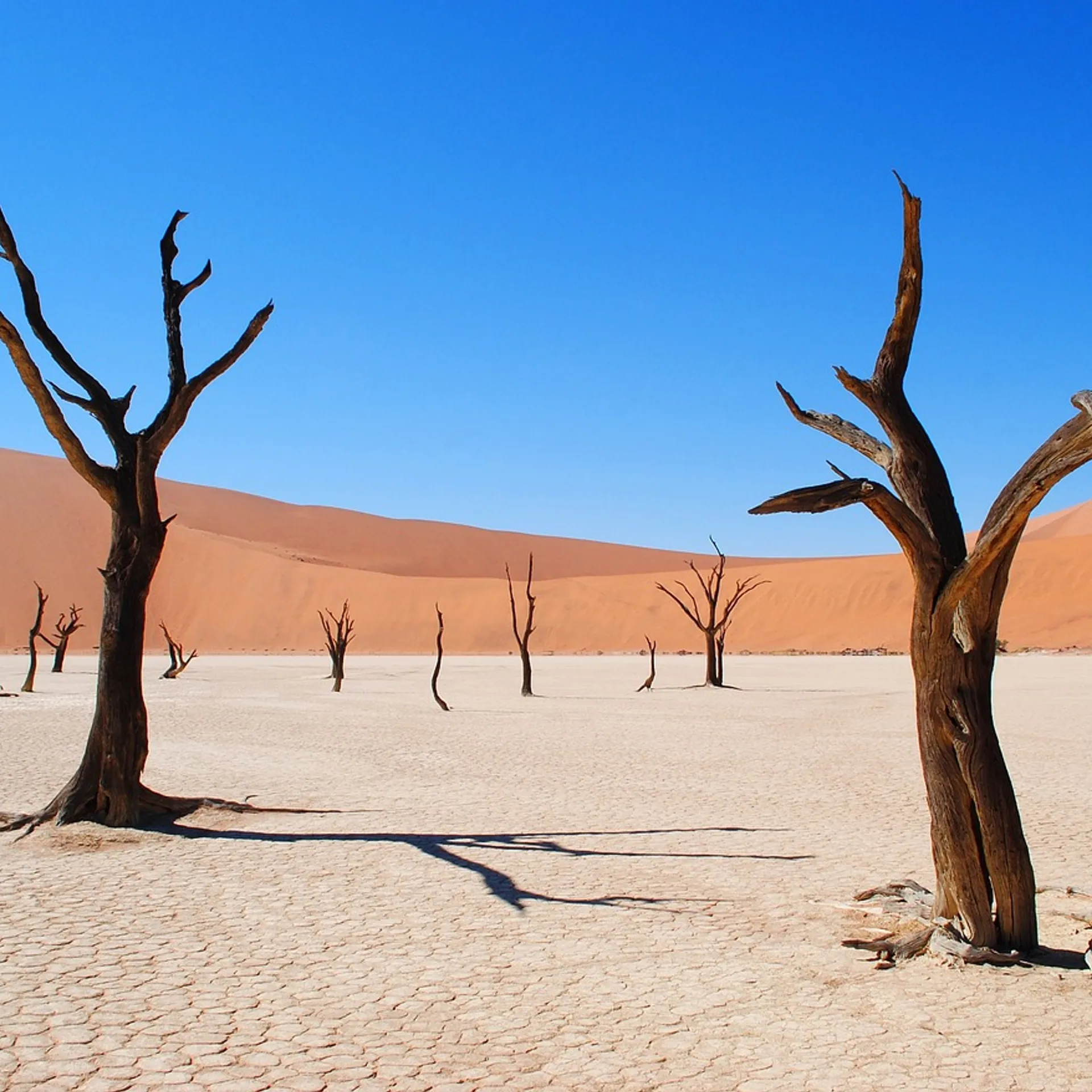 Combiné Namibie - Botswana