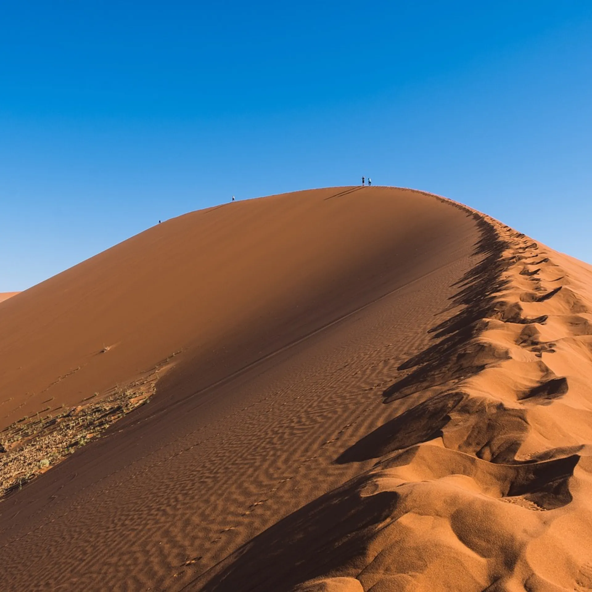 Namibie : Découverte de l'Afrique Australe en famille
