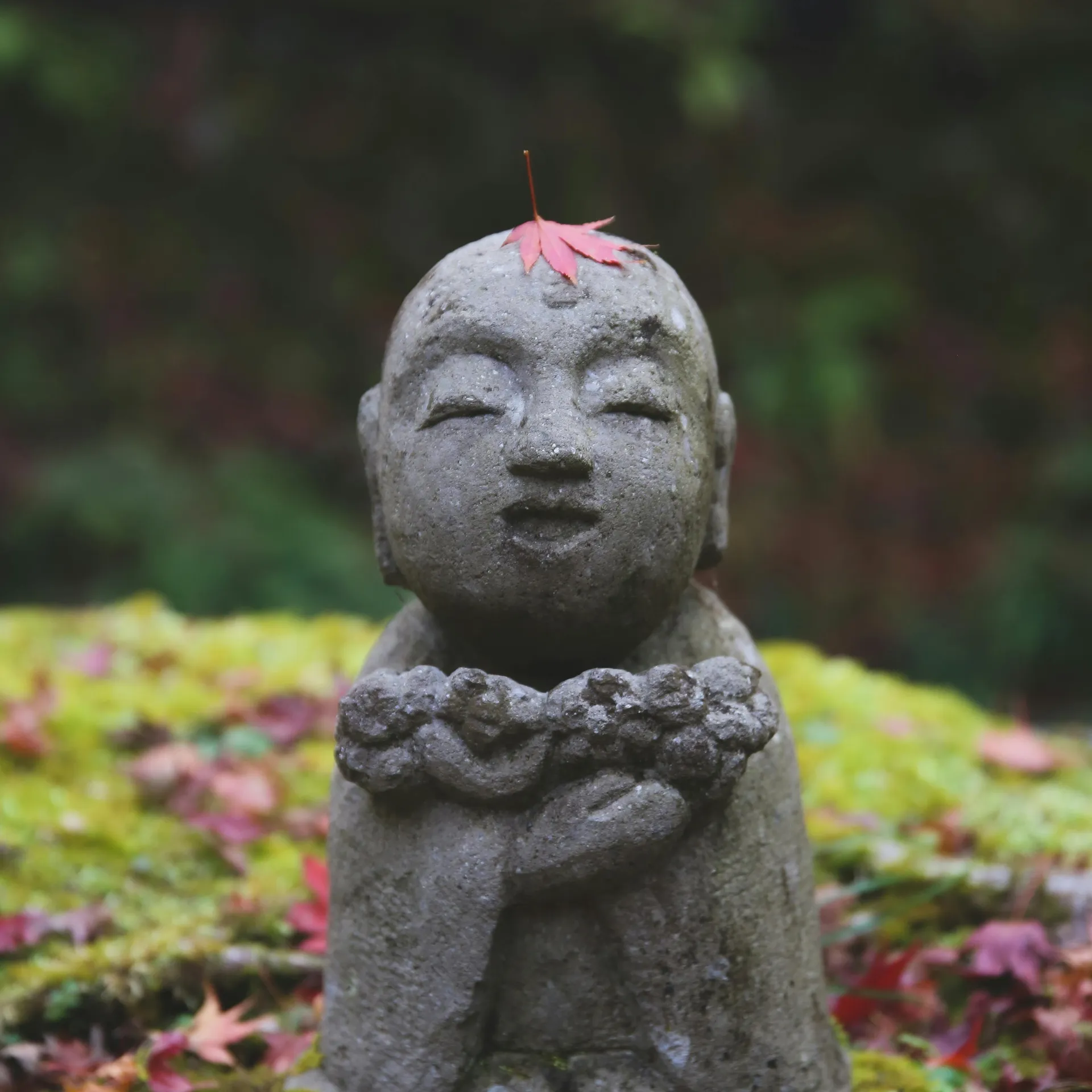 Découverte du Japon en famille, culture et mangas