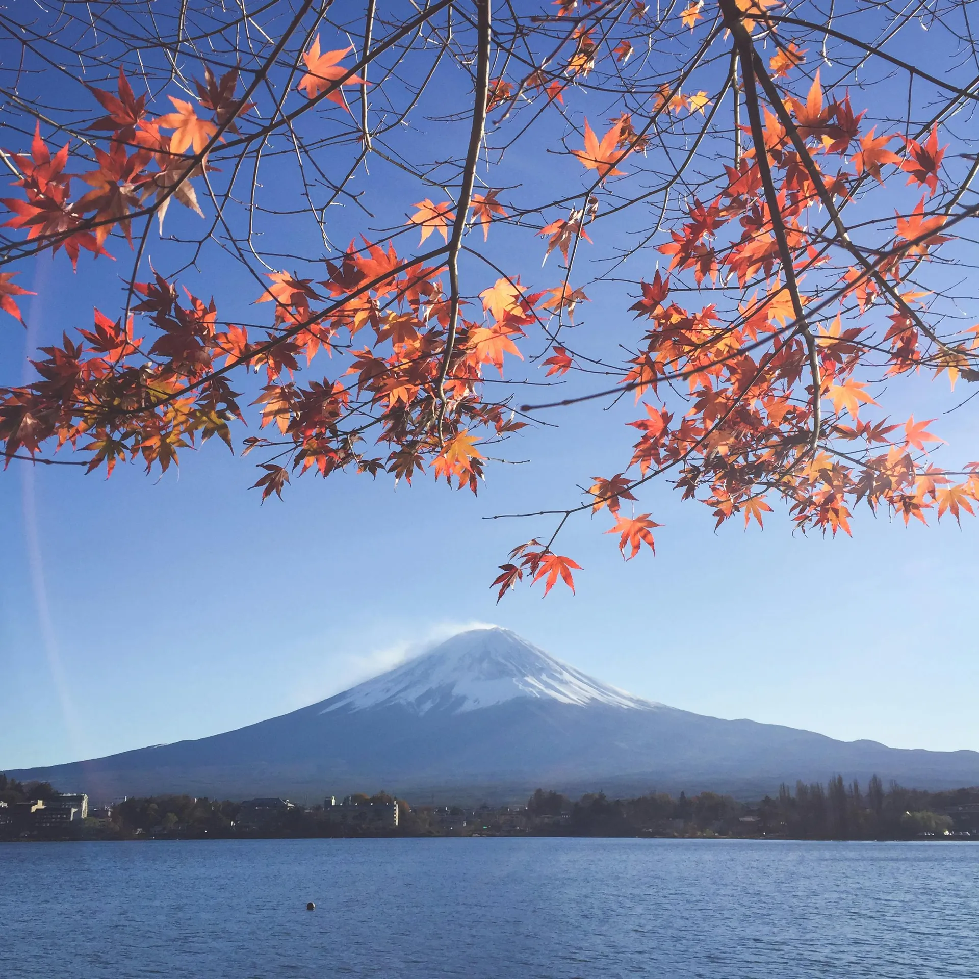 Découverte du Japon en Automne en couple ou en famille