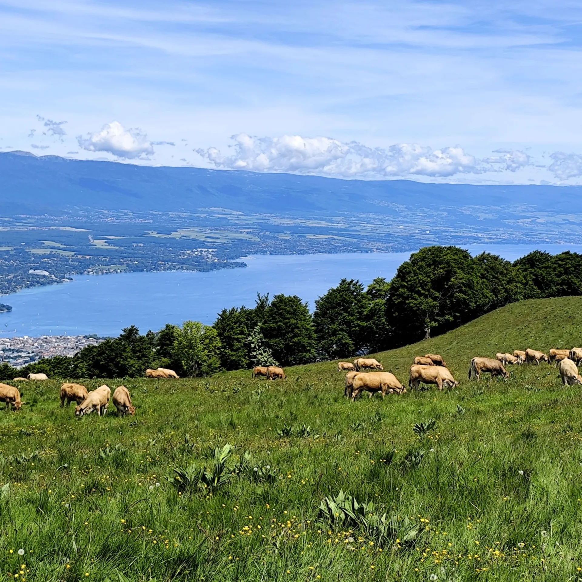 Léman séjour découverte en famille