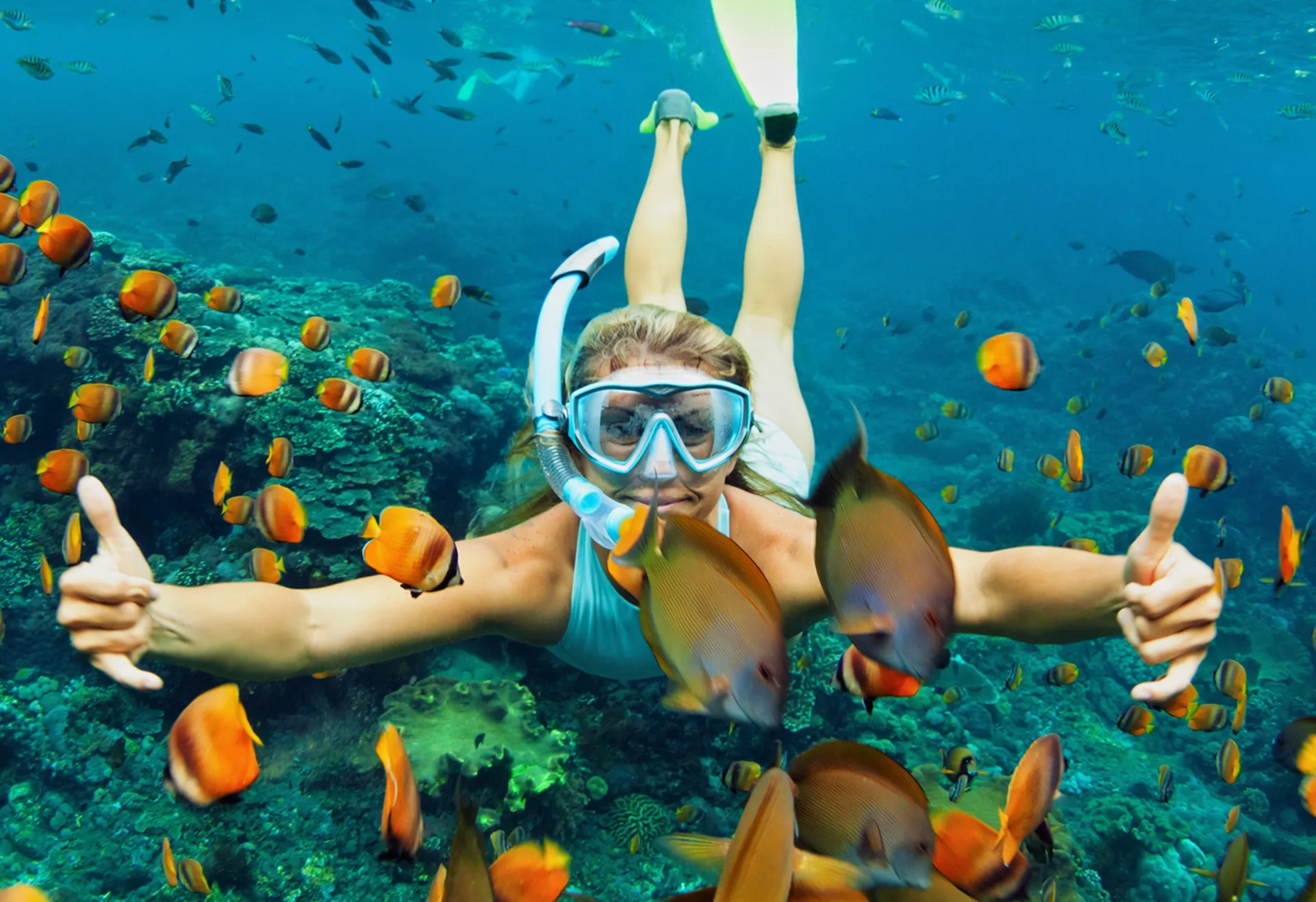 Image Top 5 des plus beaux spots de snorkeling dans le monde