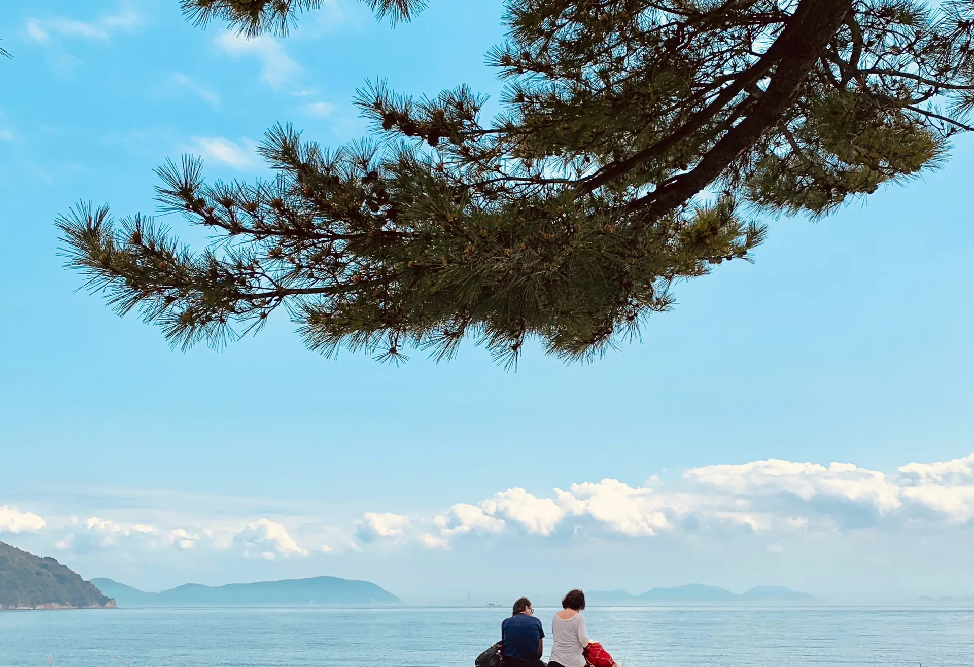 Image Japon : 4 expériences sensorielles uniques à ne pas manquer