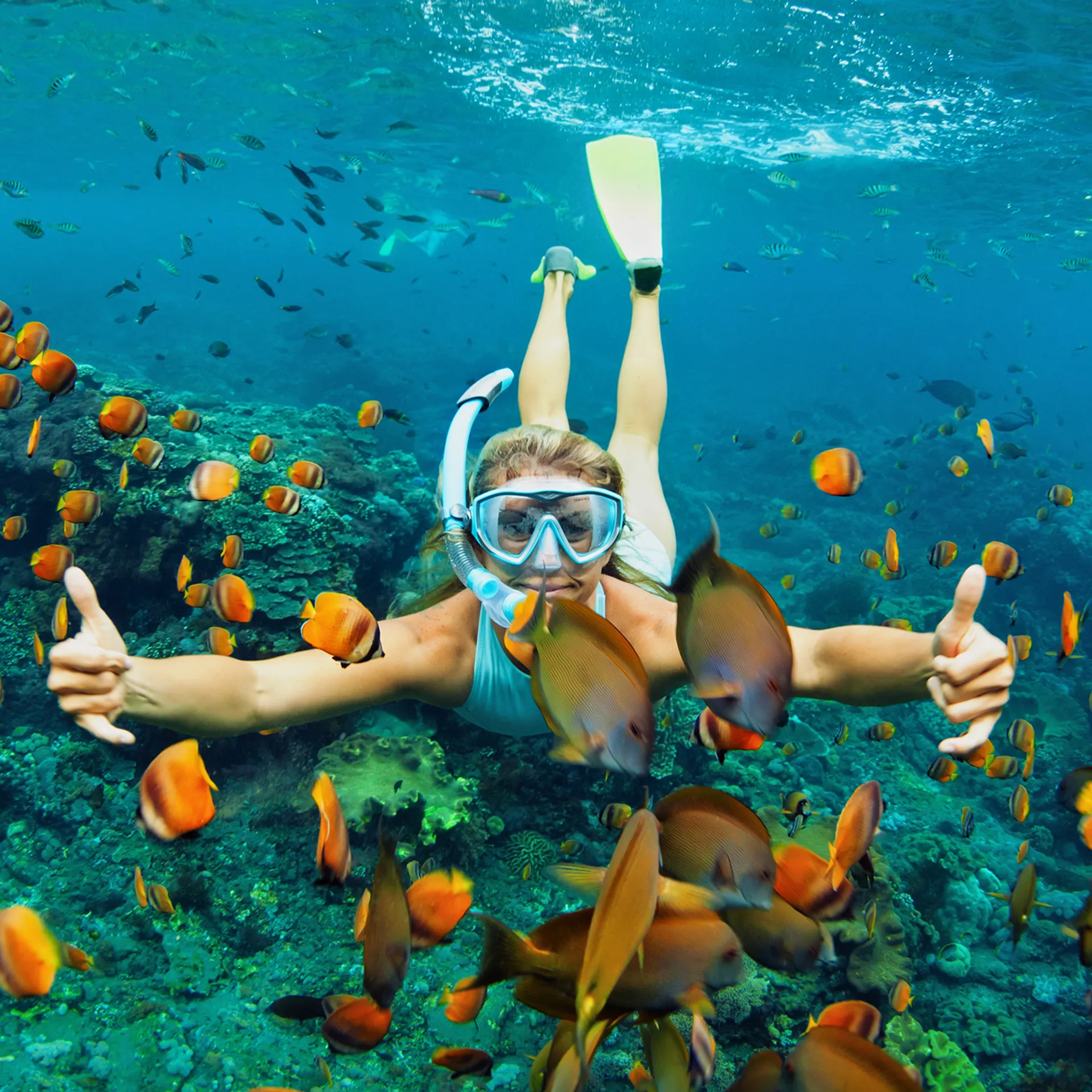 Top 5 des plus beaux spots de snorkeling dans le monde