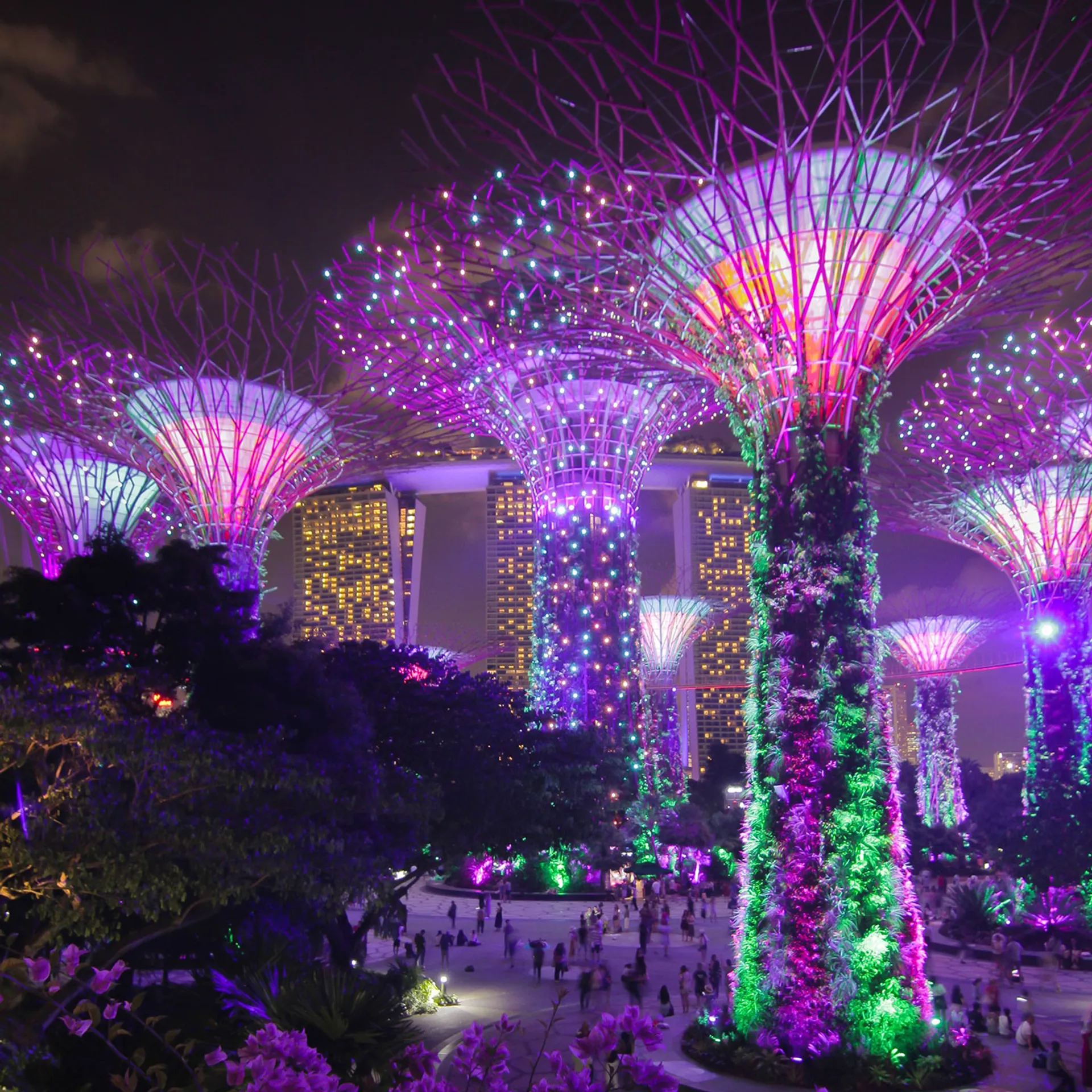 Trois skylines incontournables pour des city trips mémorables : Tokyo, San Francisco et Singapour