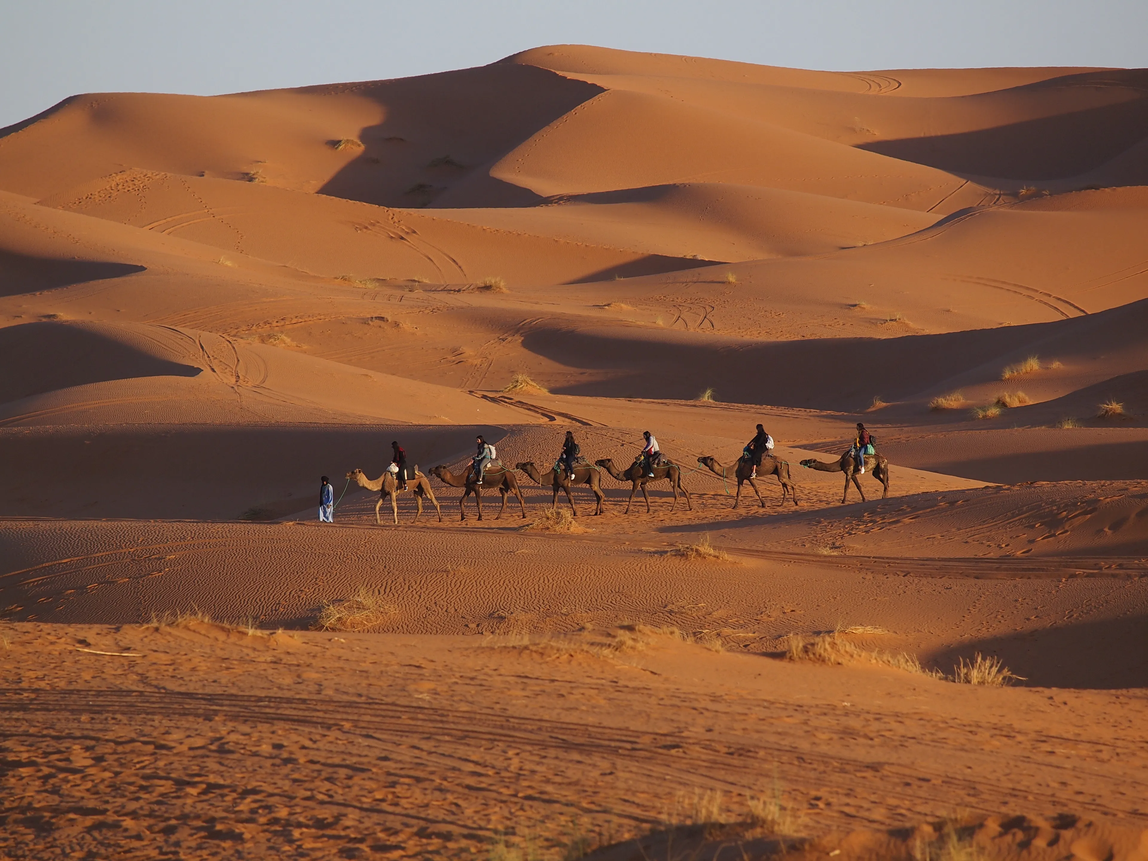 Zagora Desert