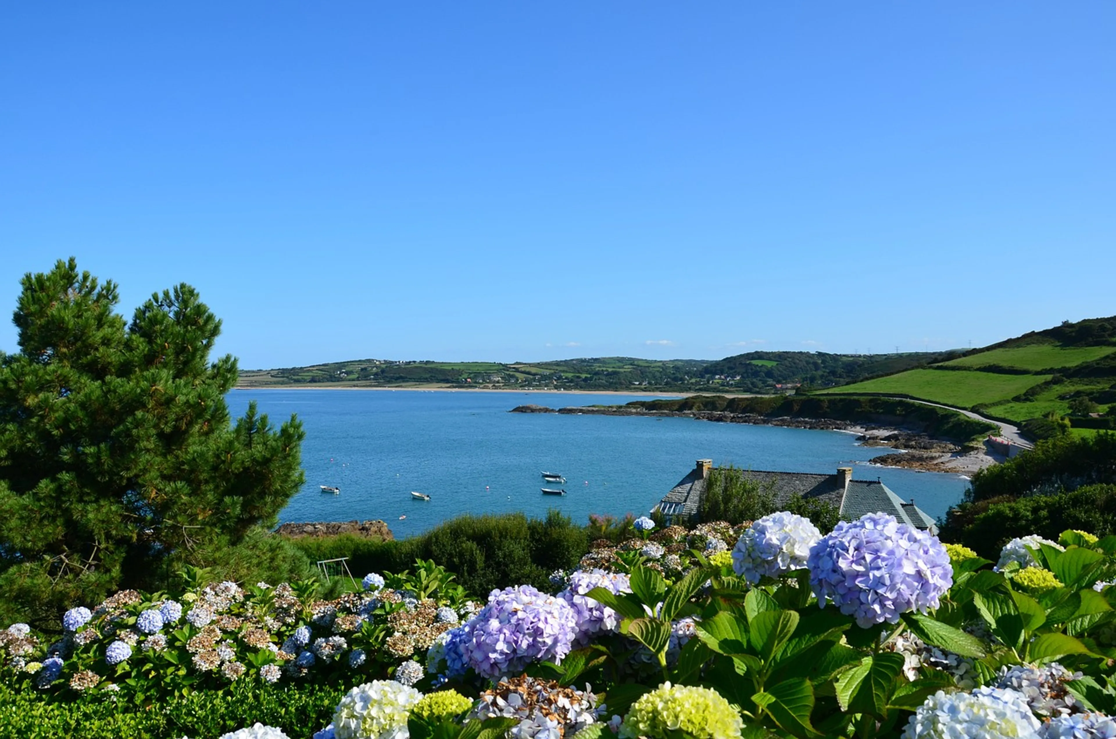 Cotentin