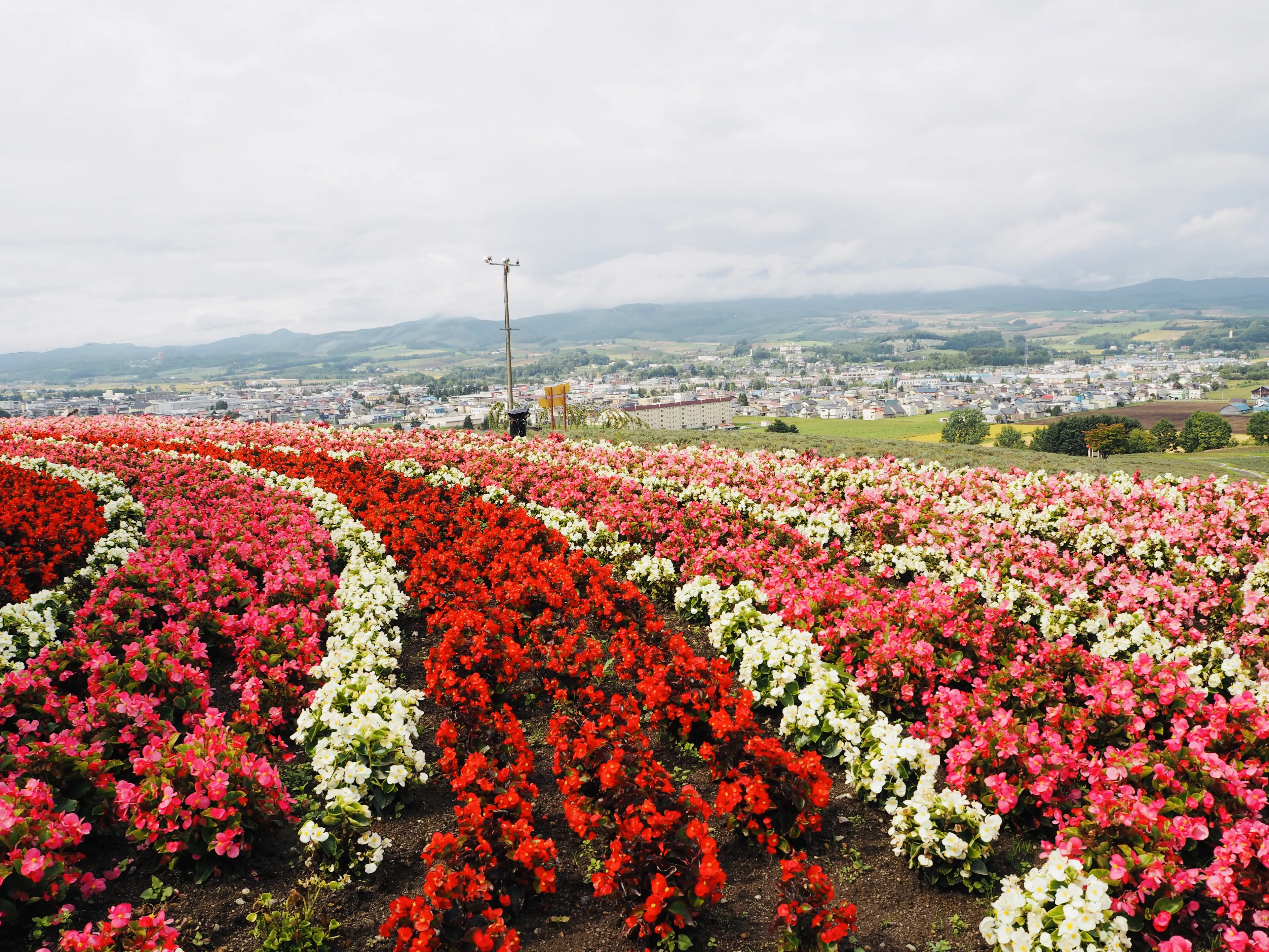 Furano