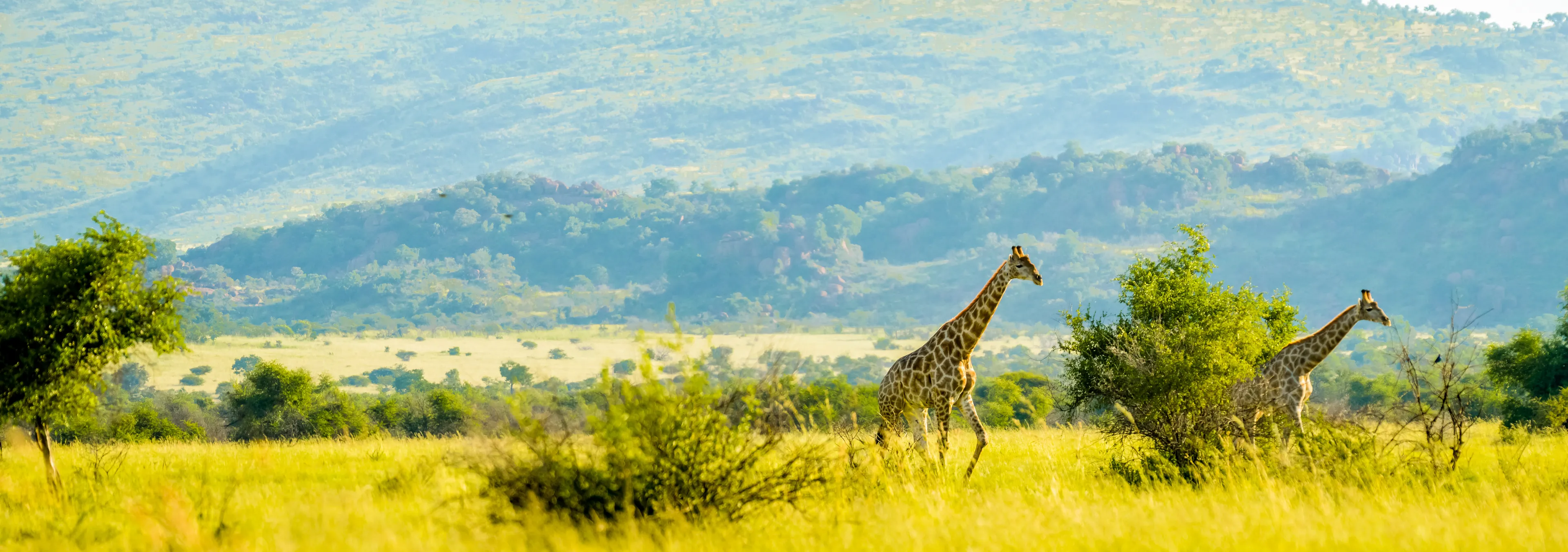 Pilanesberg