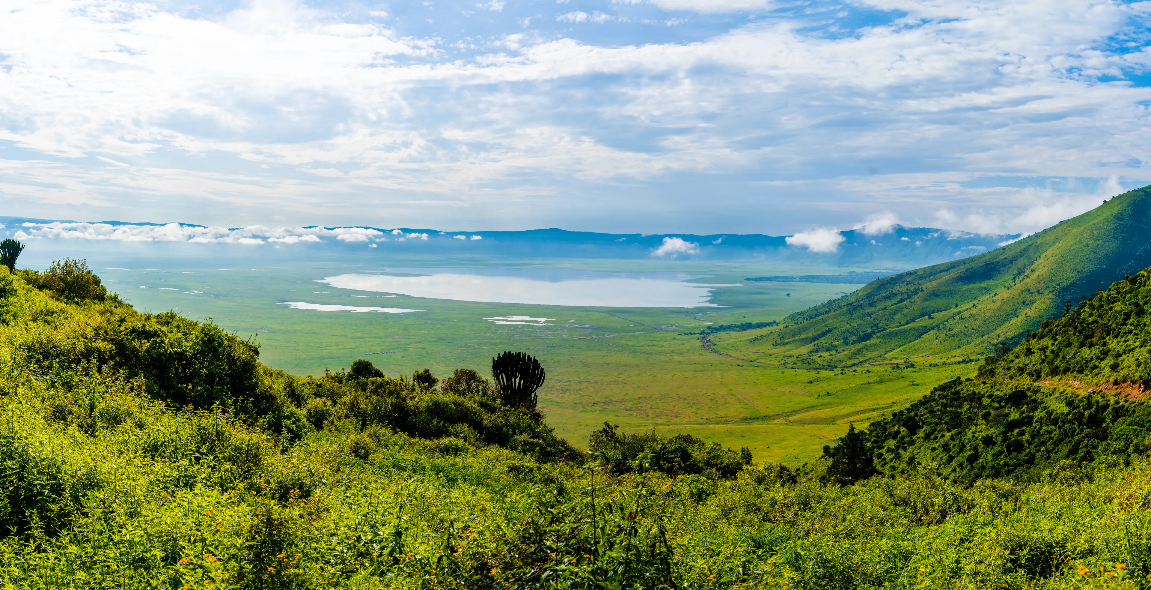 Ngorongoro