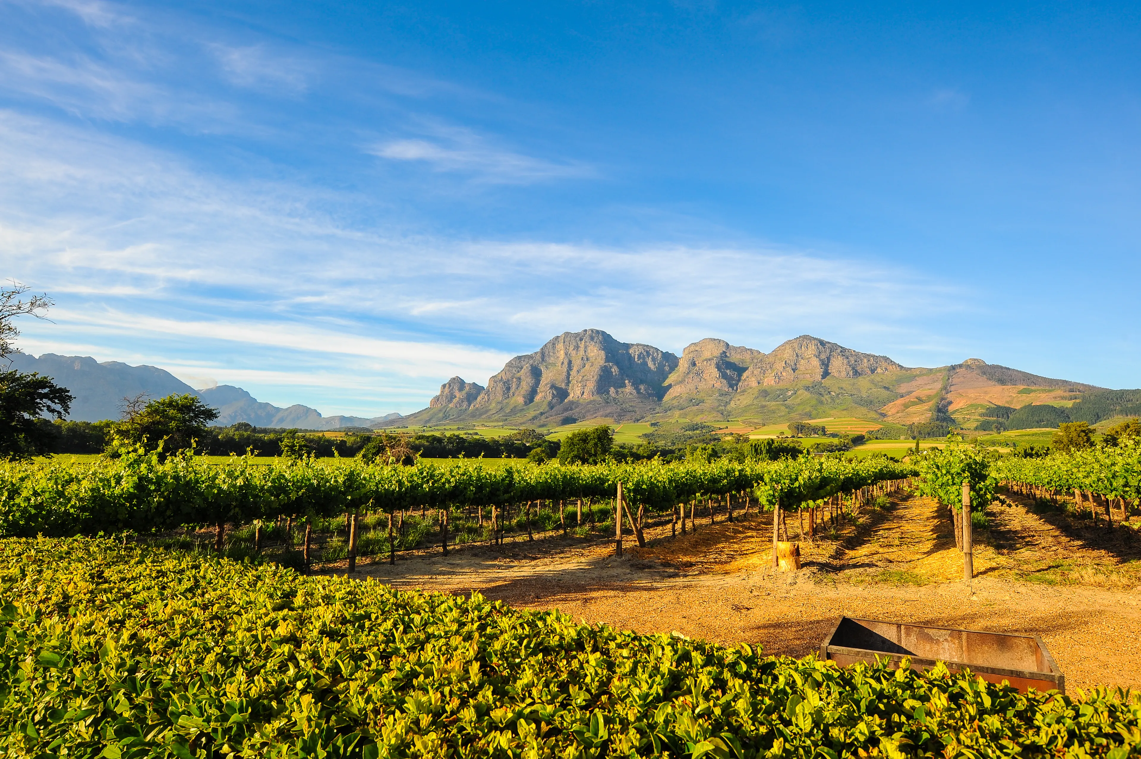 Stellenbosch