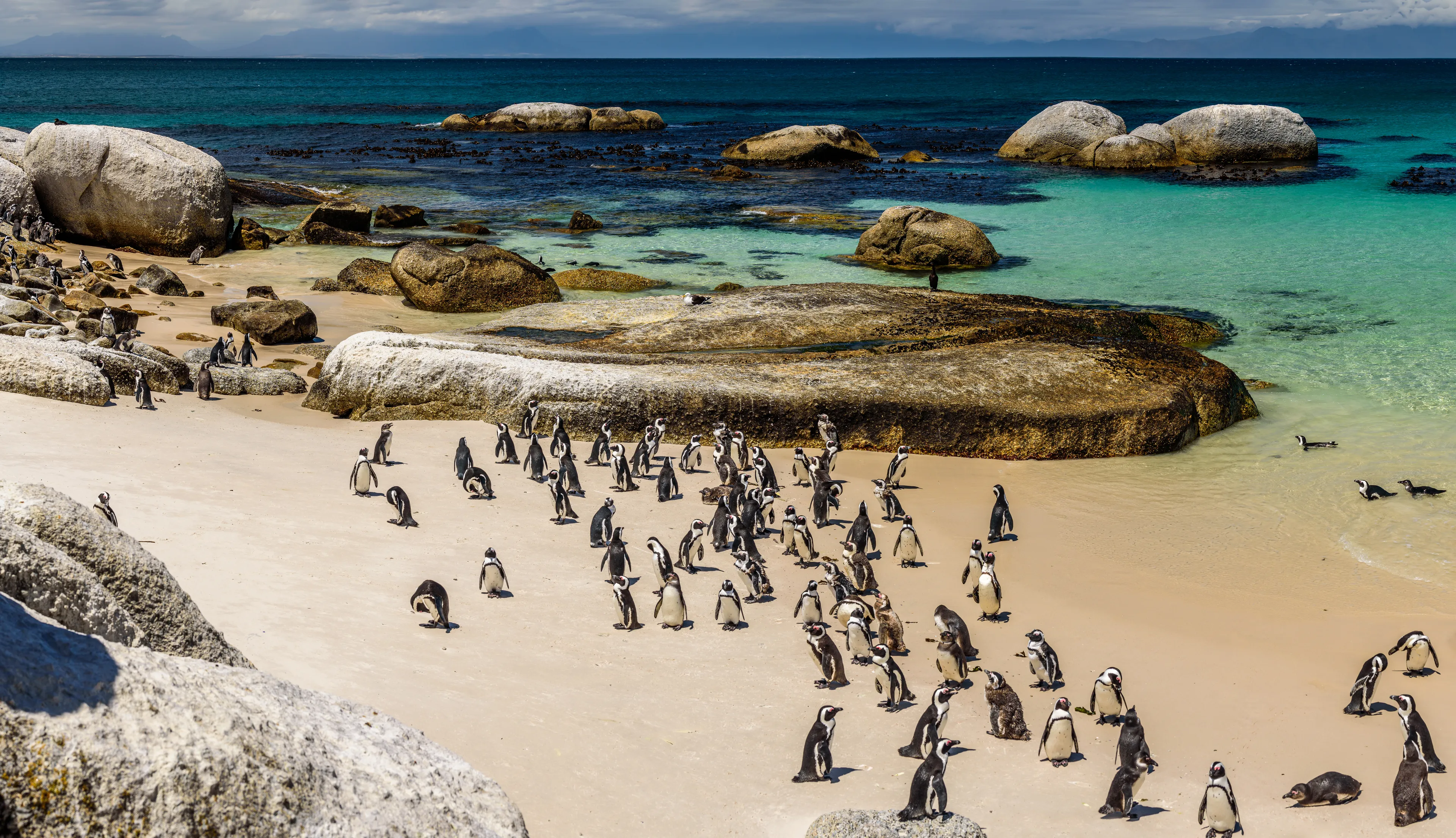 Boulders Beach