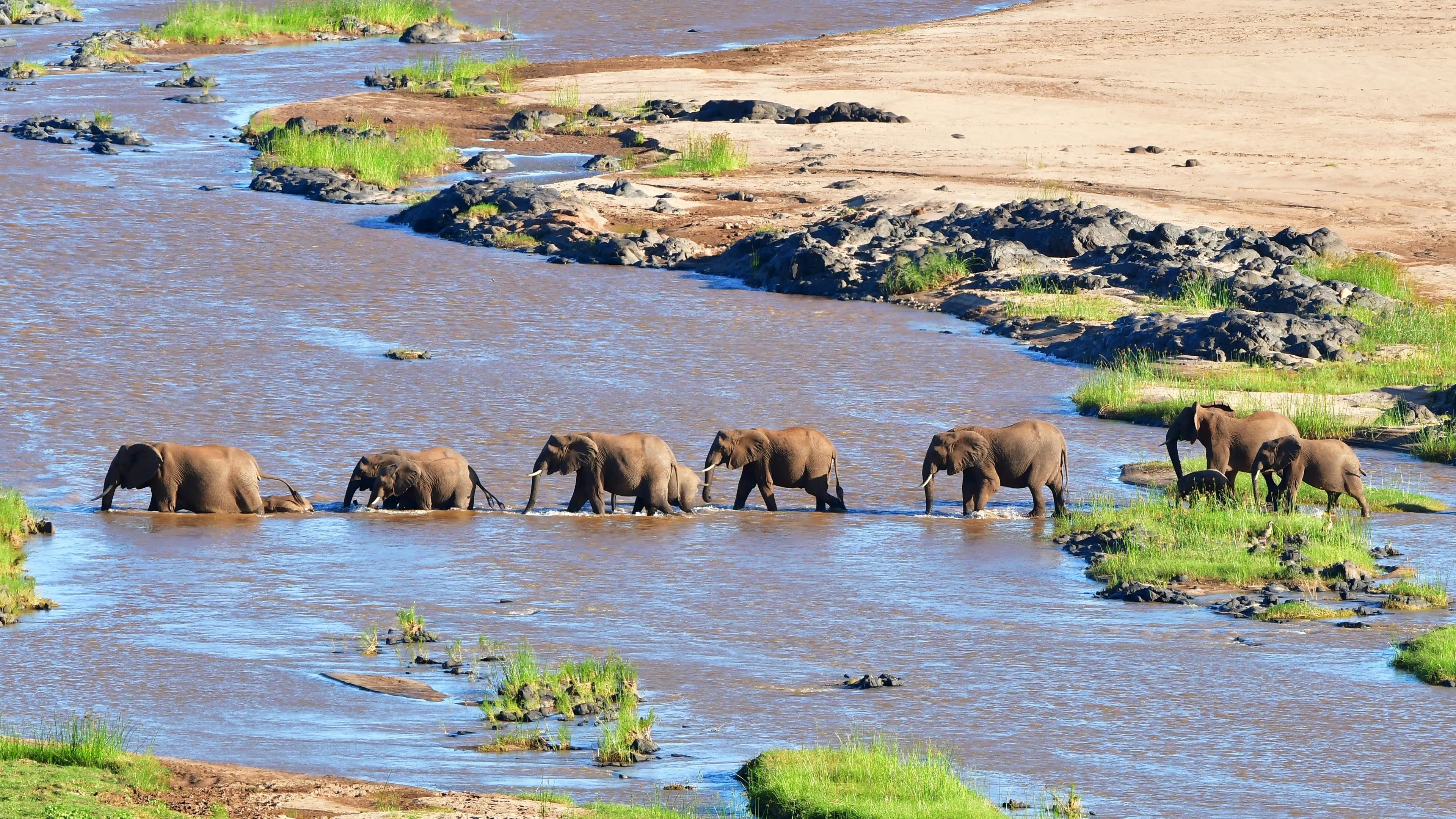 Parc National Kruger