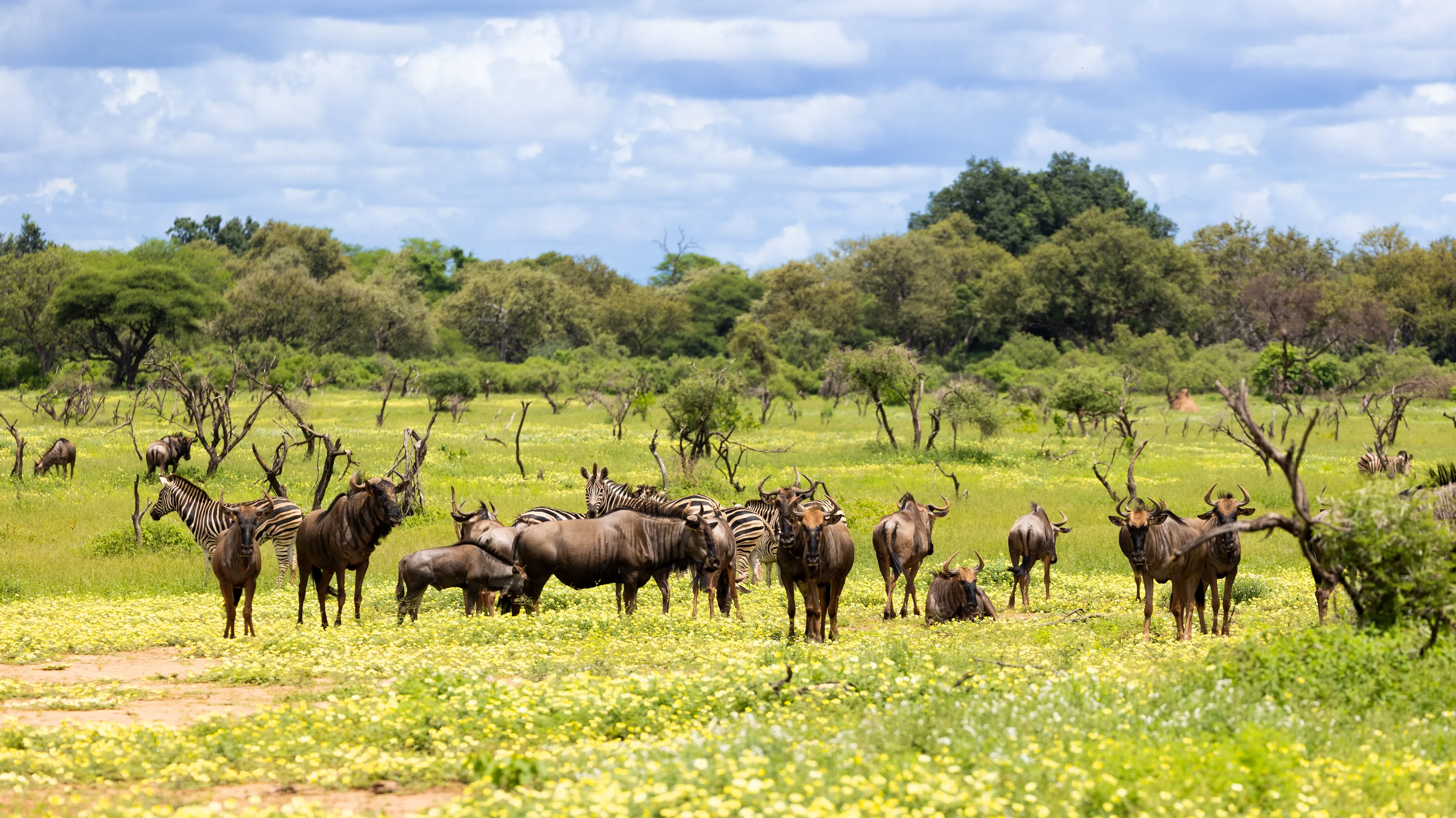 Mapungubwe National Park