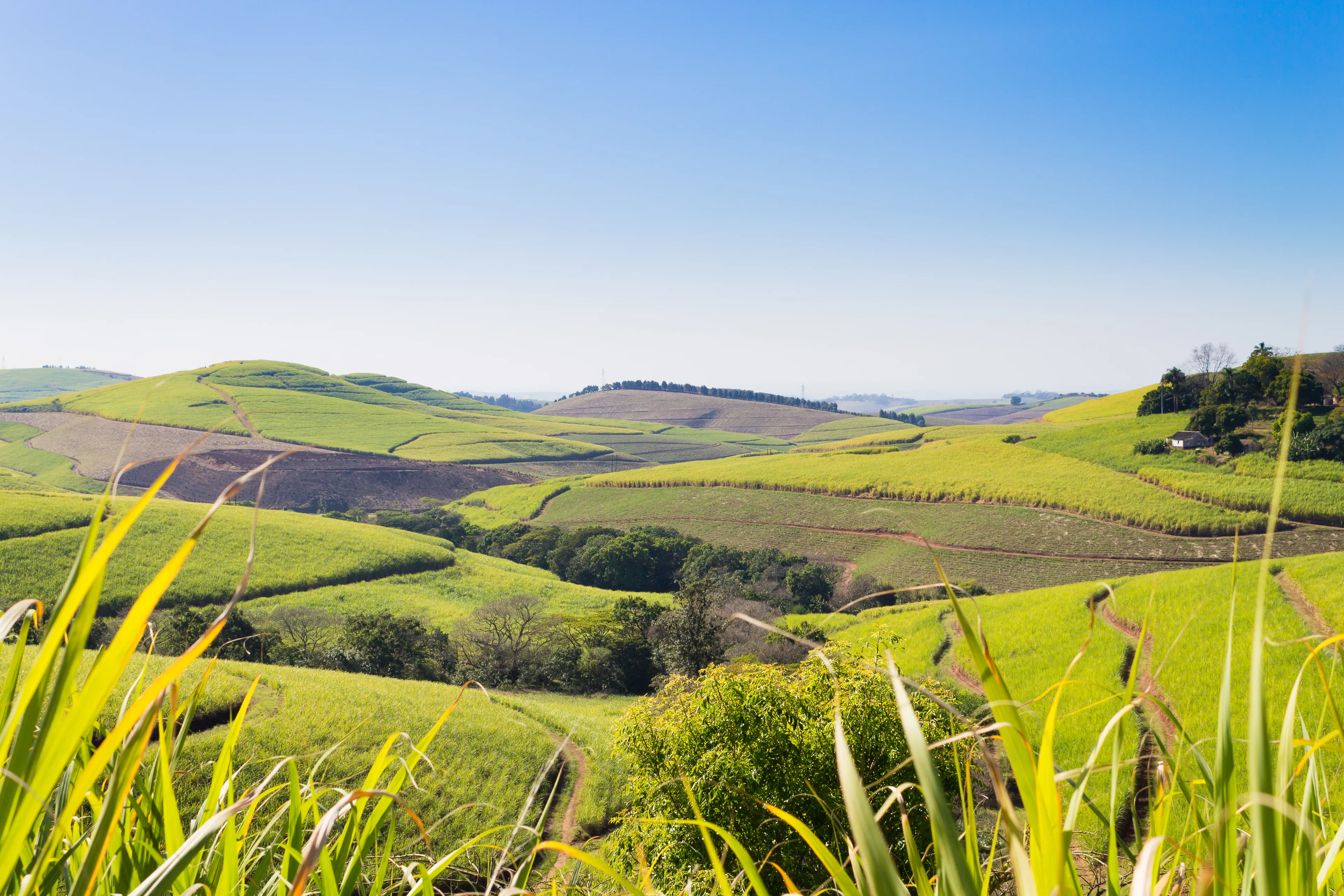 Valley of a Thousand Hills