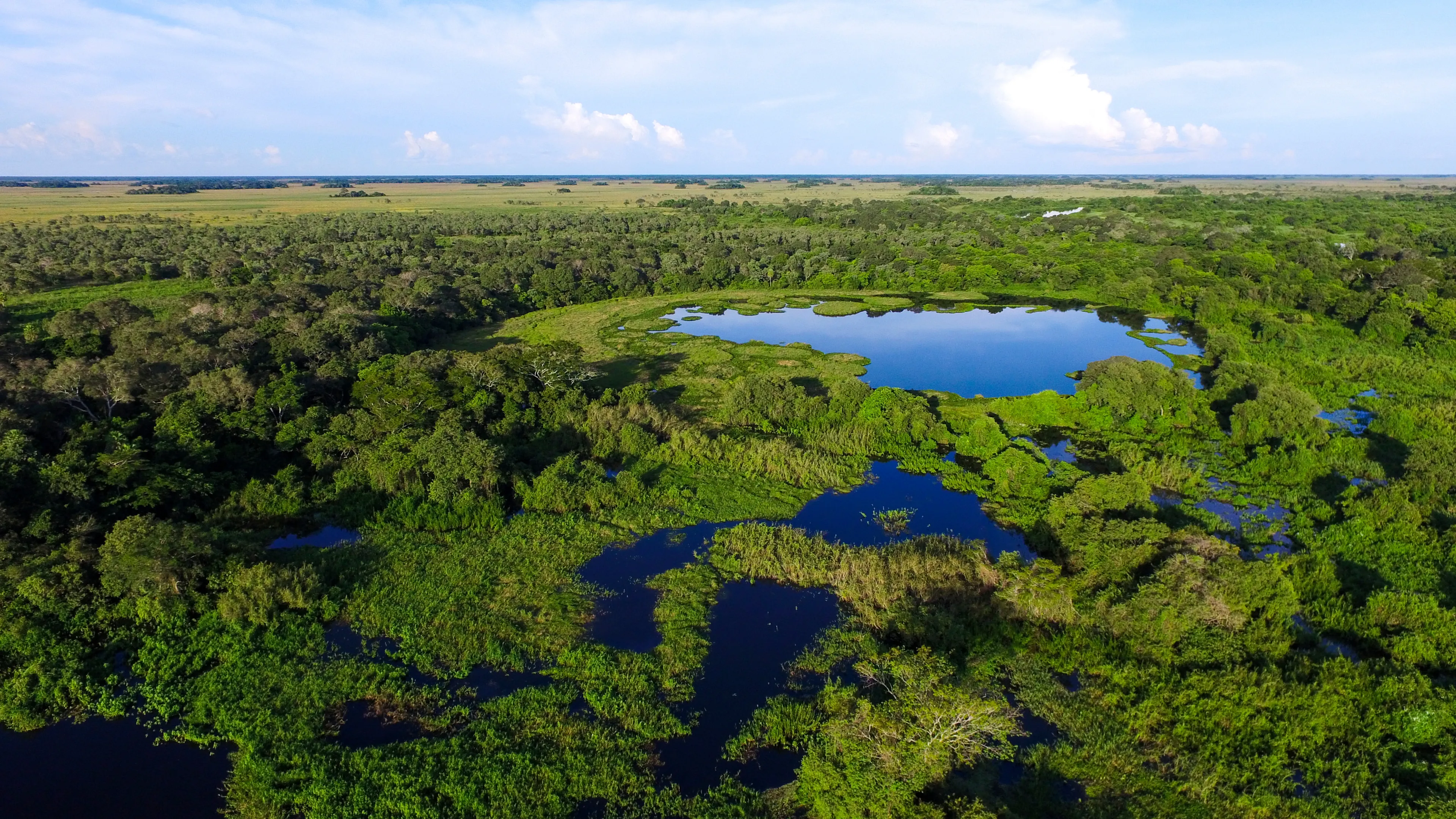 Pantanal