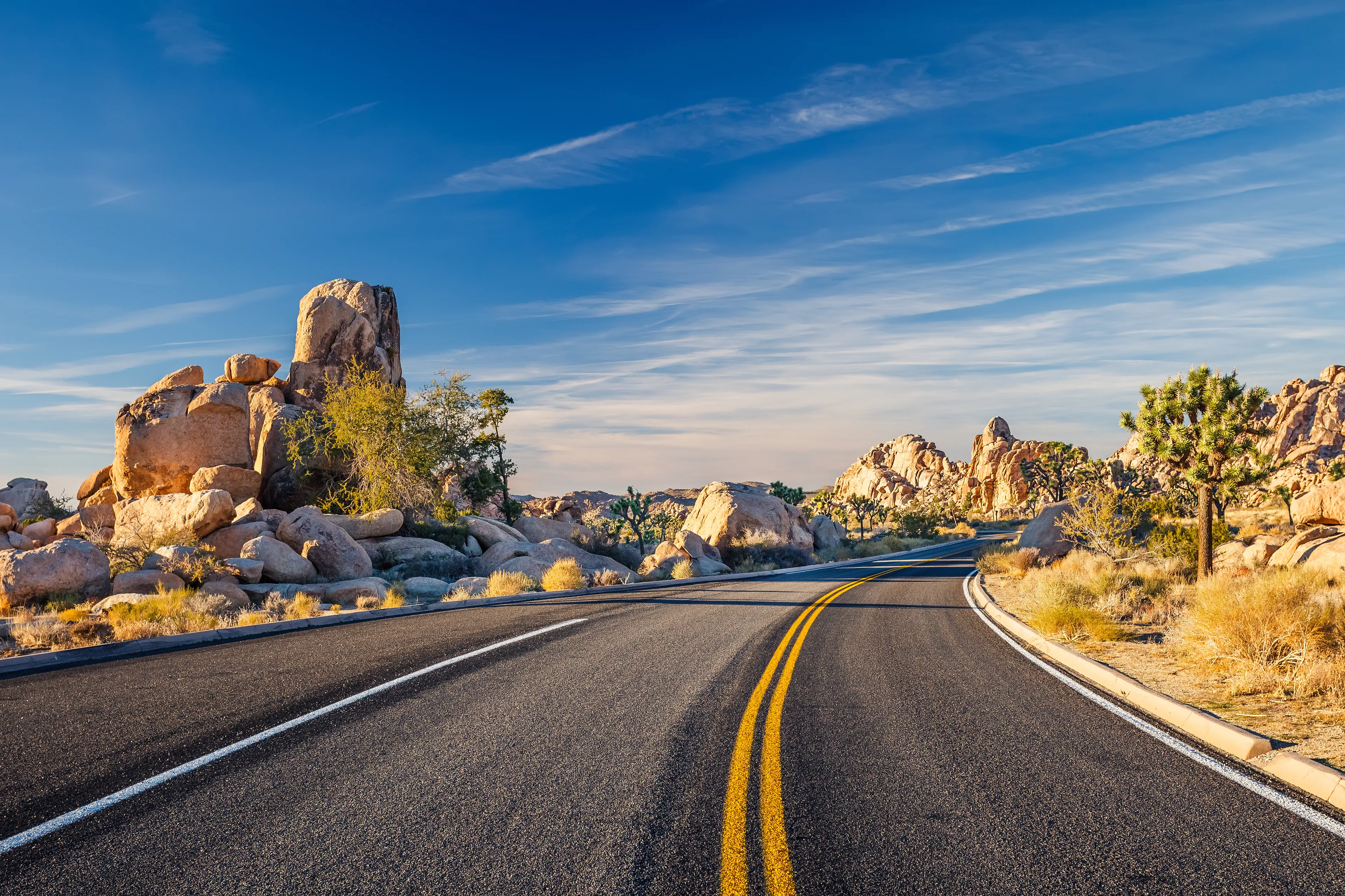 Joshua Tree National Park