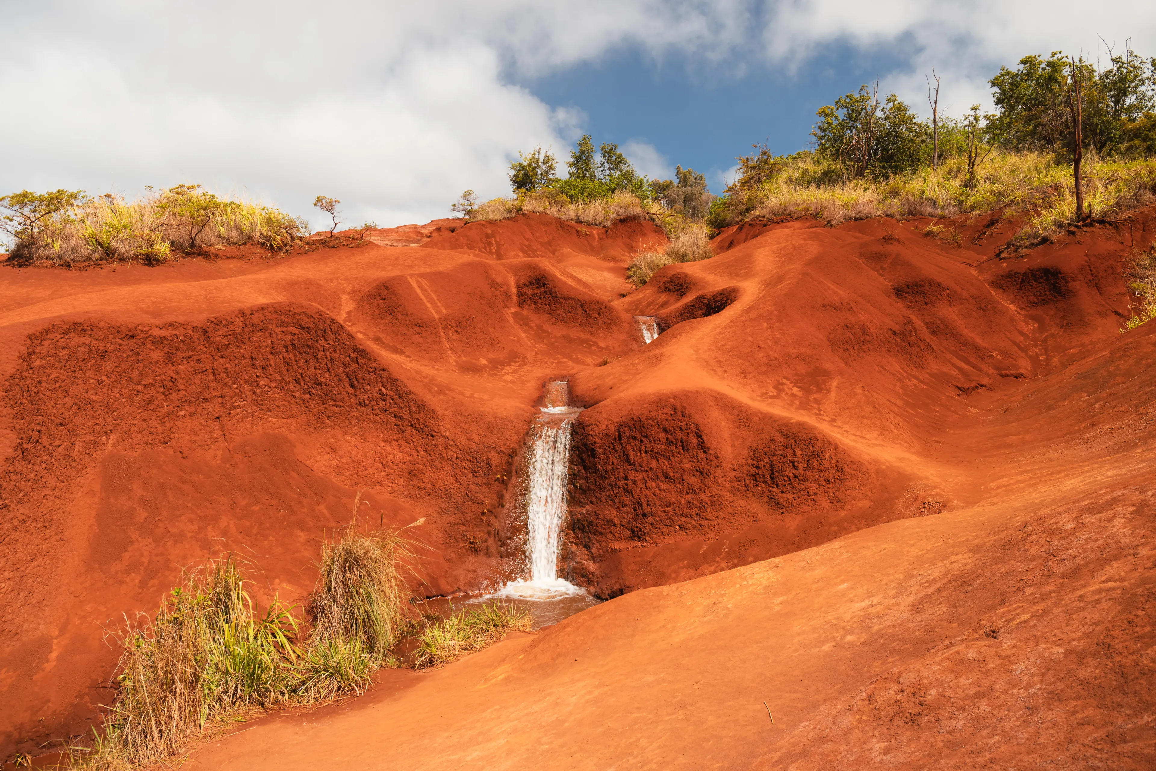 Waimea Canyon State Park