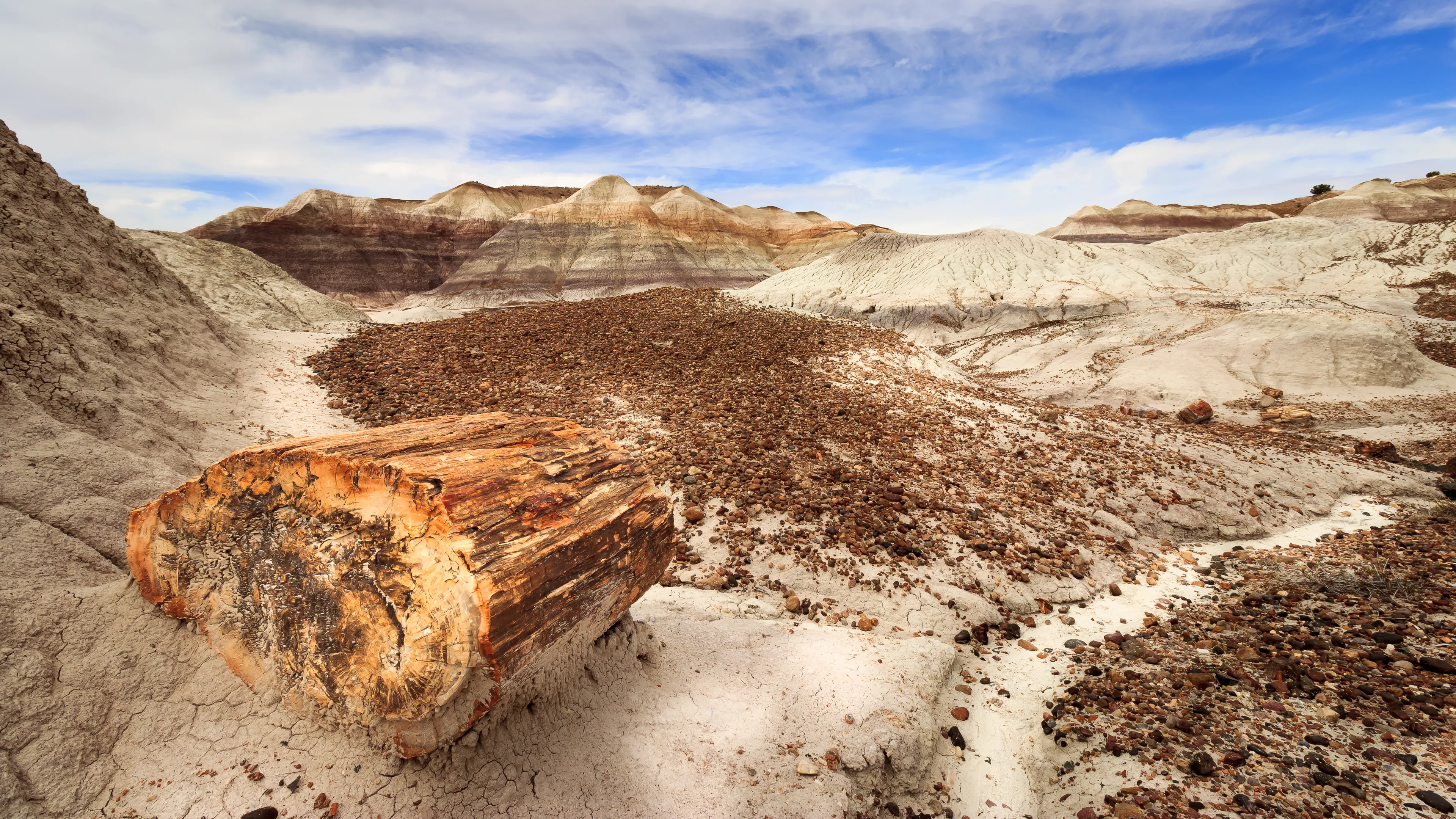 Parc national de Petrified Forest