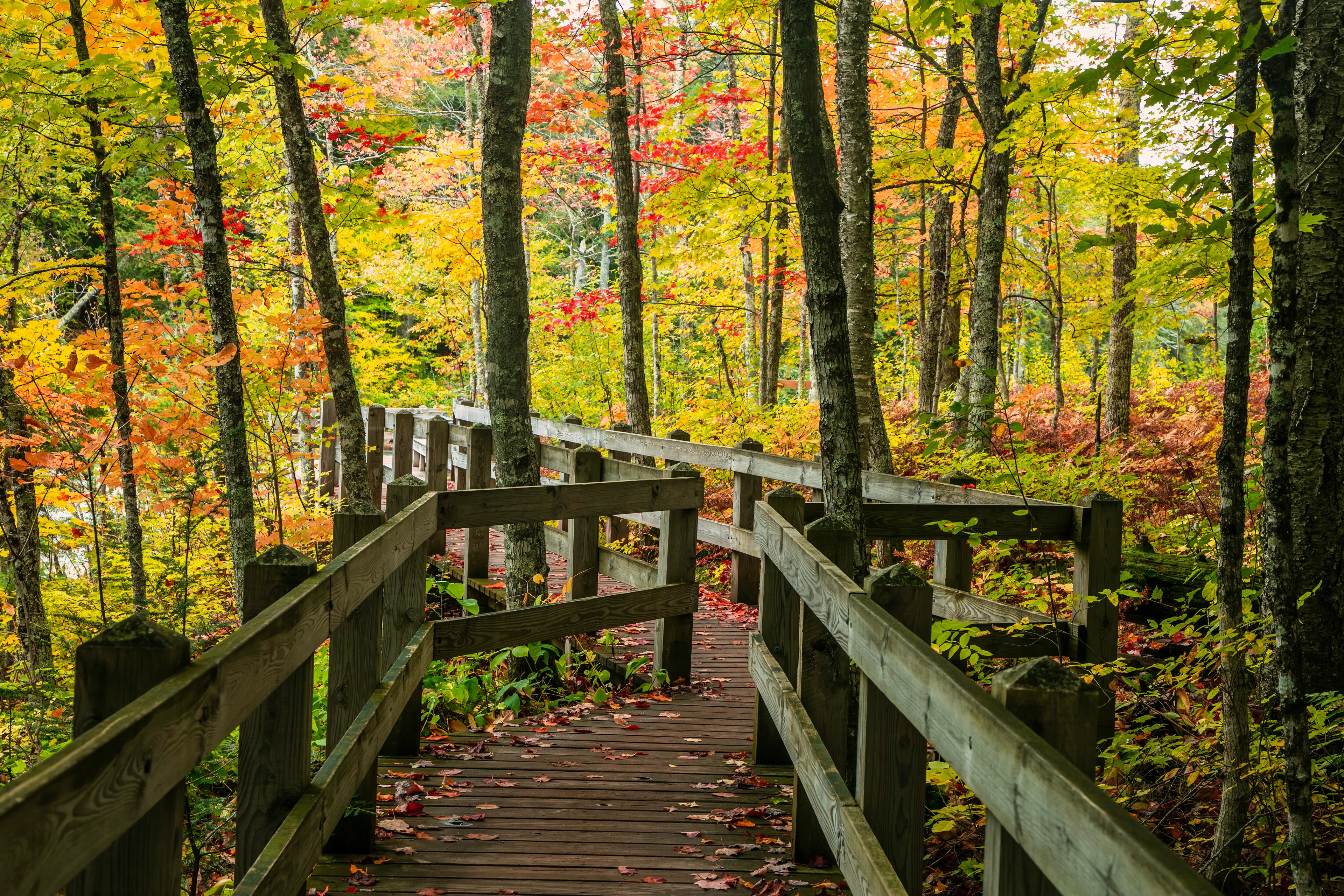 Presque Isle State Park