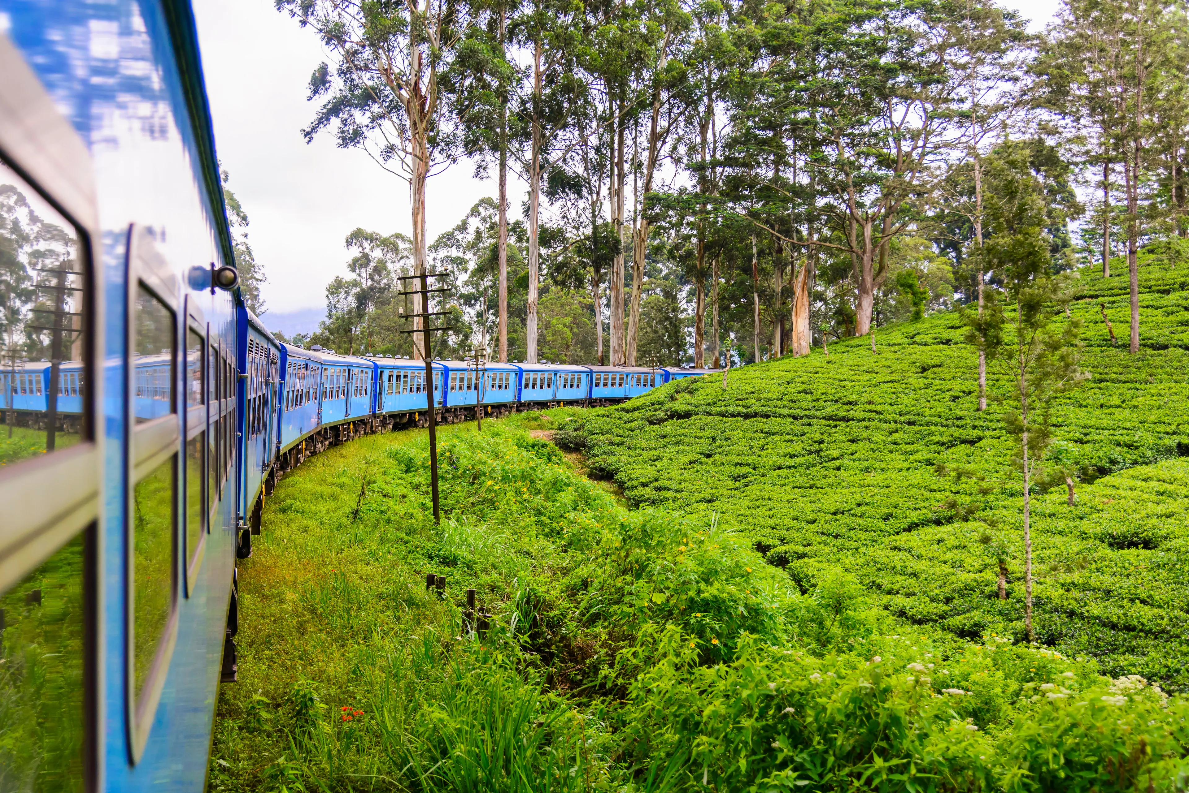 Nuwara Eliya