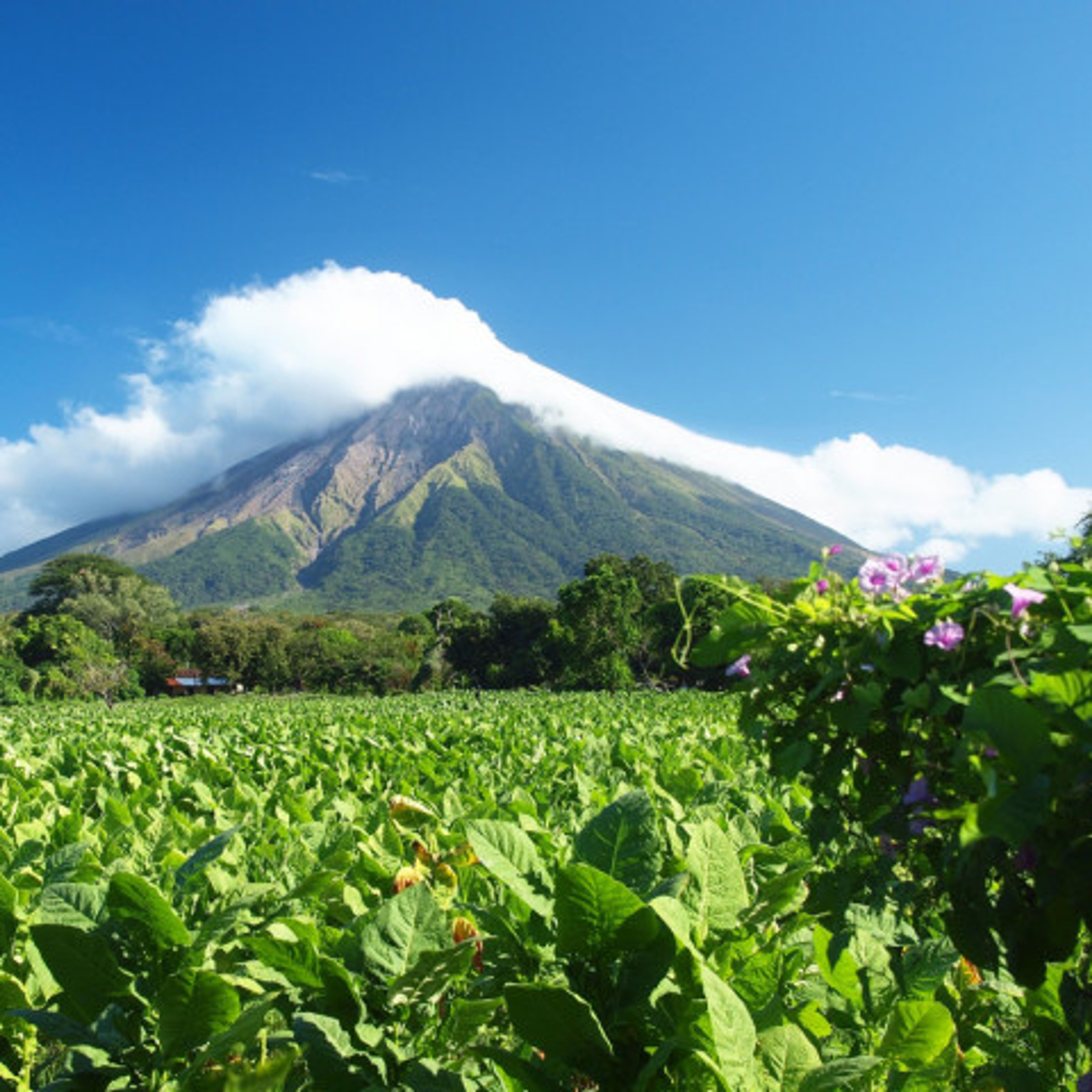 Nicaragua