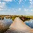 imageCamargue