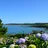 imageCotentin
